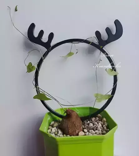 Trellis Deer Planter Decoration 3D print model