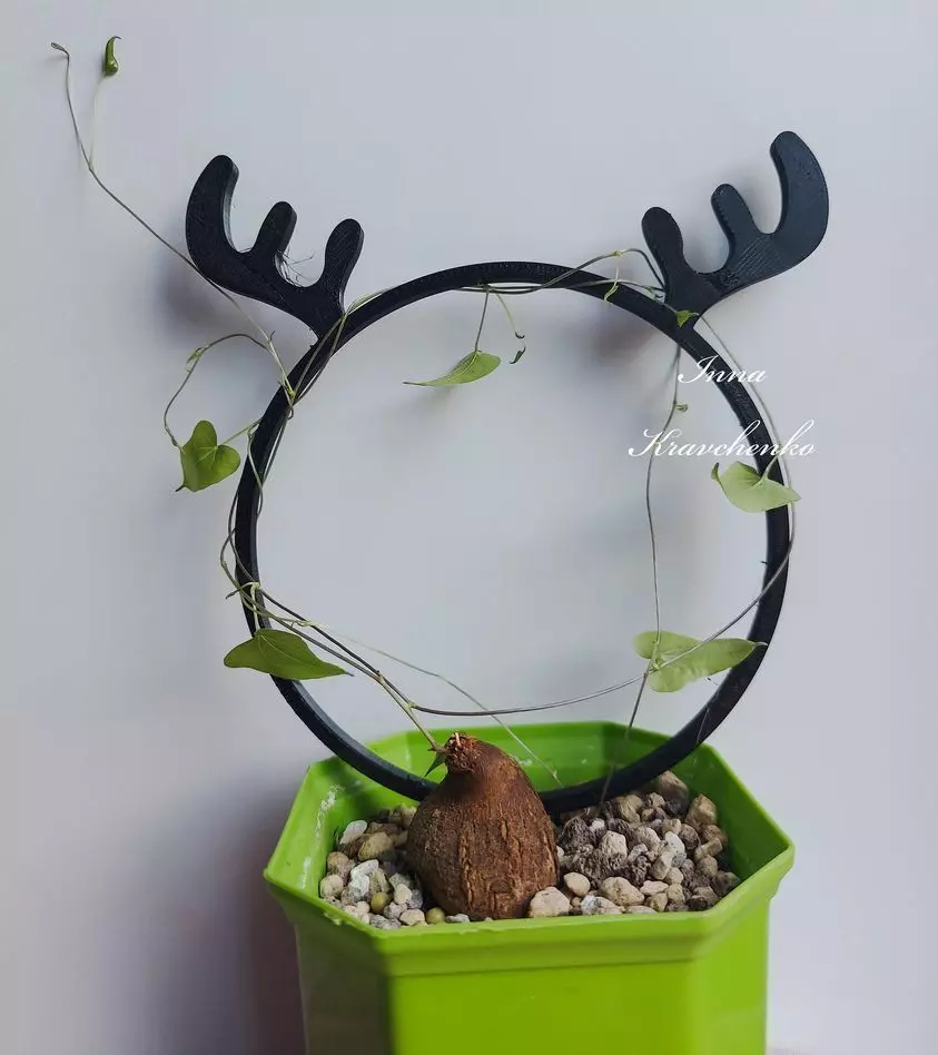 Trellis Deer Planter Decoration 3D print model_0