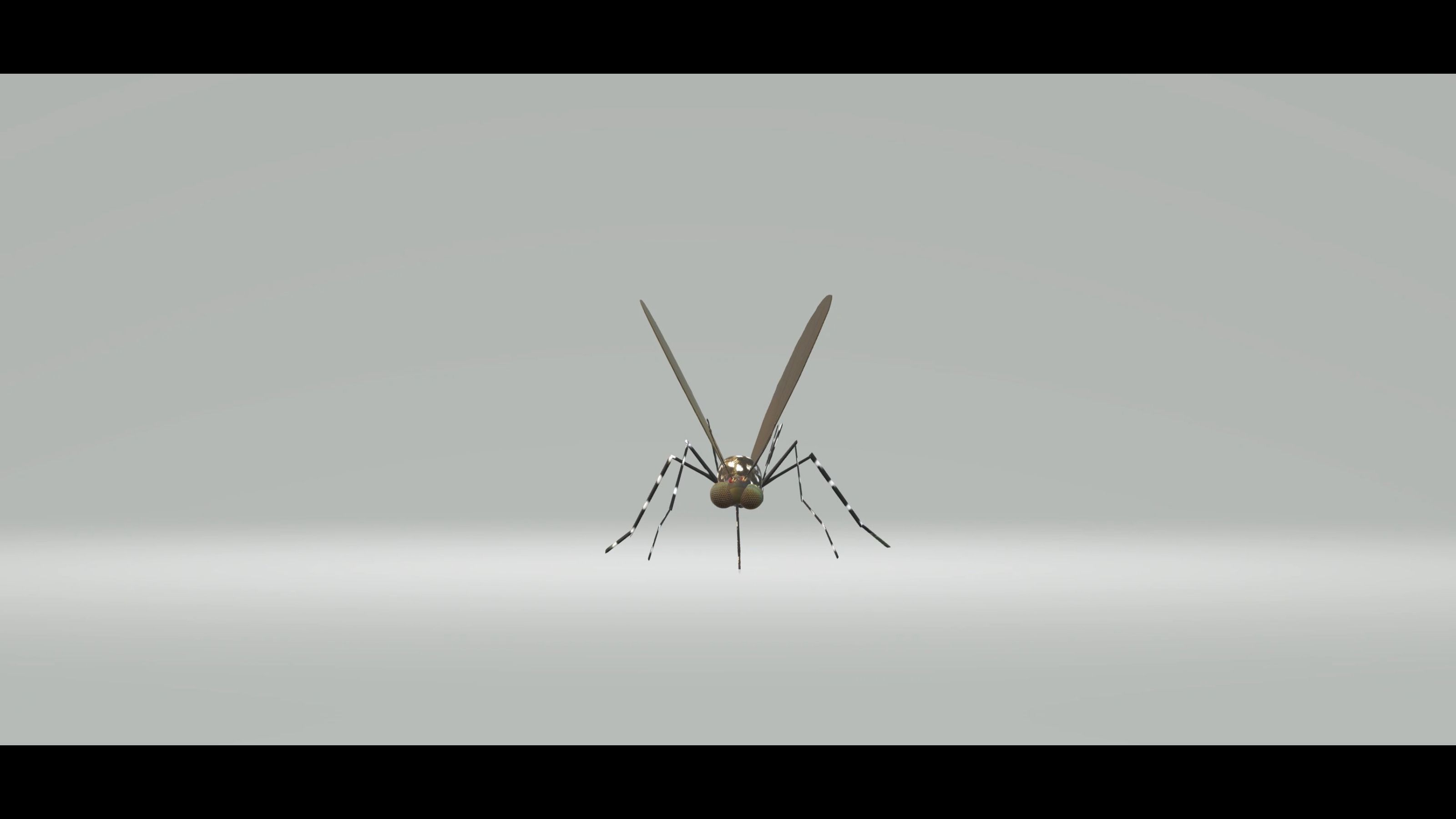 Mosquito Aedes Species 3D model_66