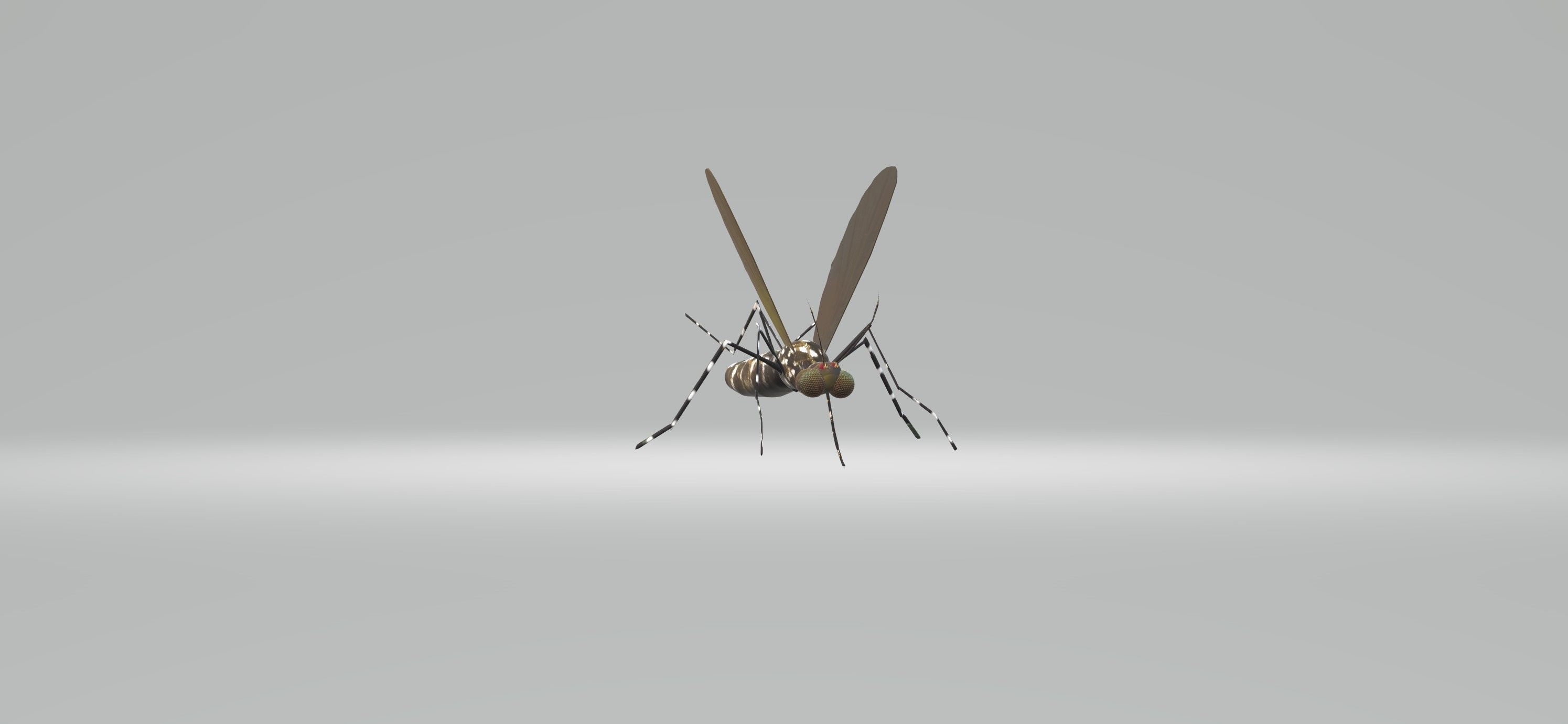 Mosquito Aedes Species 3D model_7