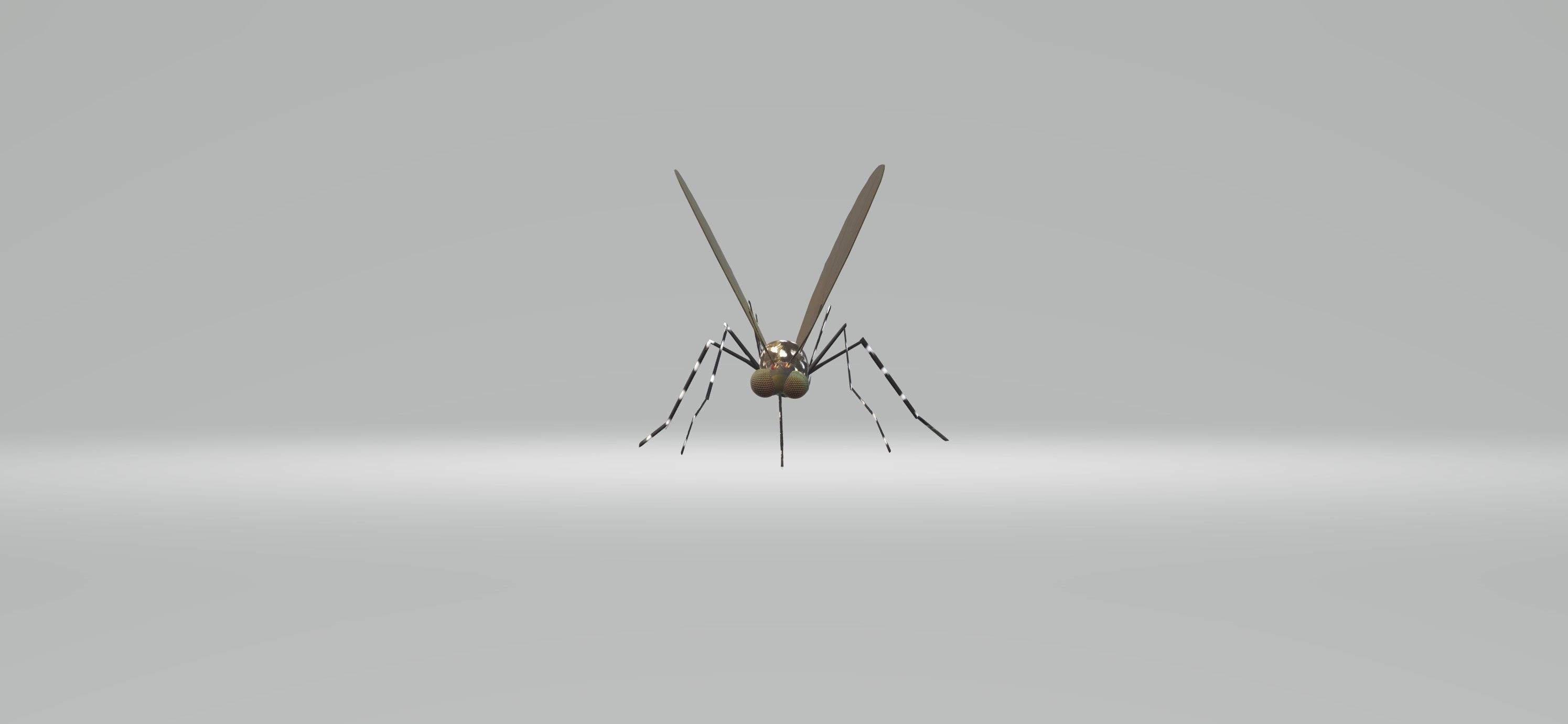 Mosquito Aedes Species 3D model_41