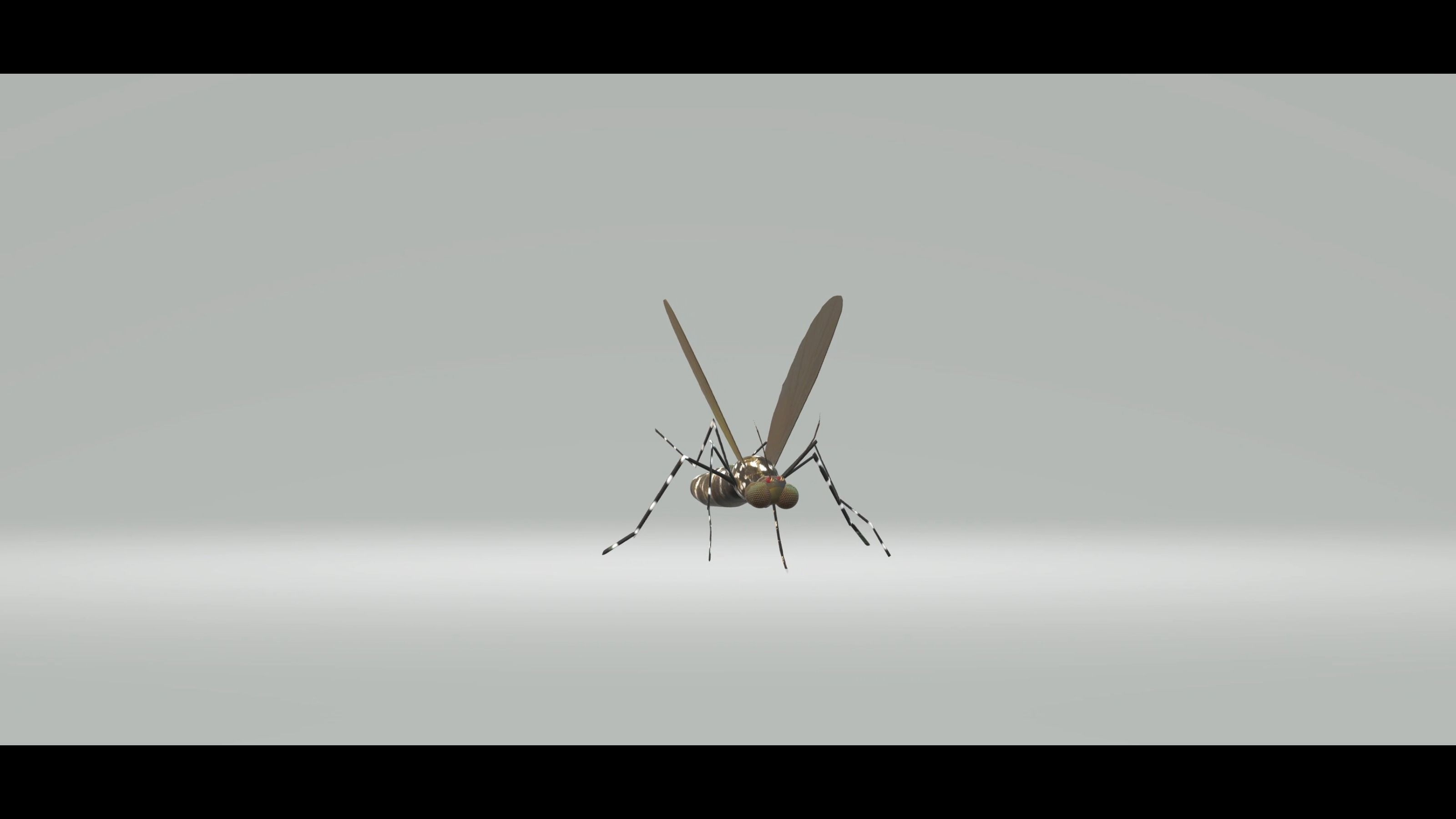 Mosquito Aedes Species 3D model_80
