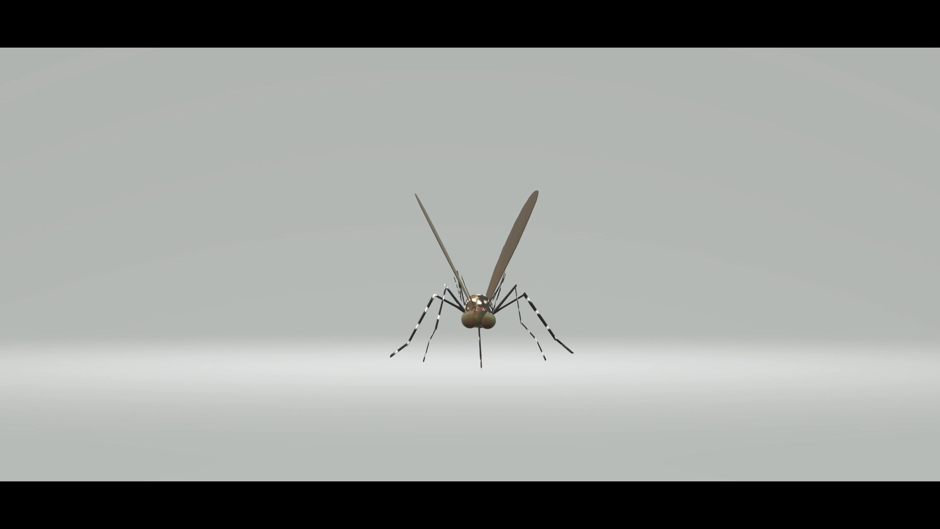 Mosquito Aedes Species 3D model_71