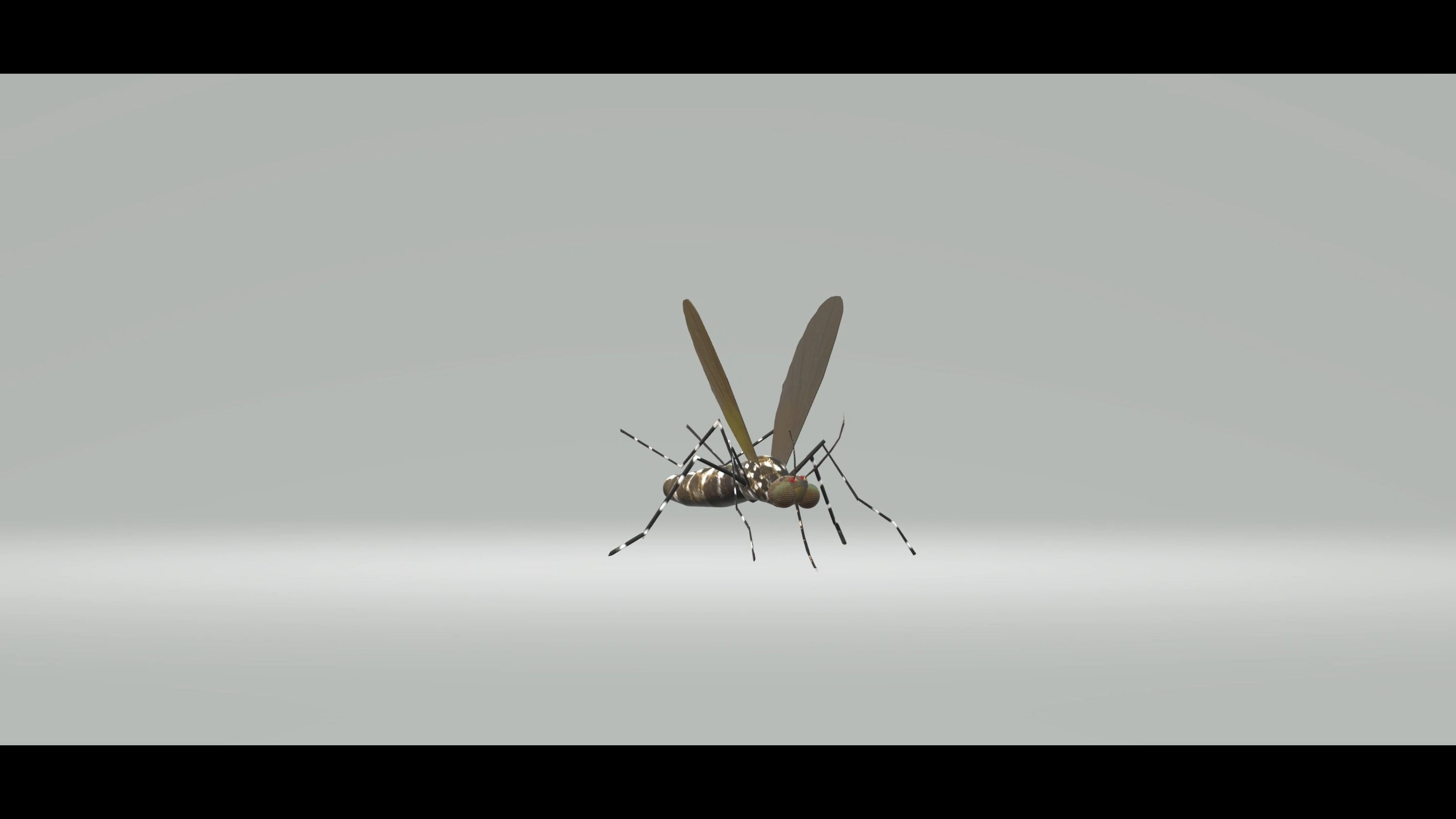 Mosquito Aedes Species 3D model_39