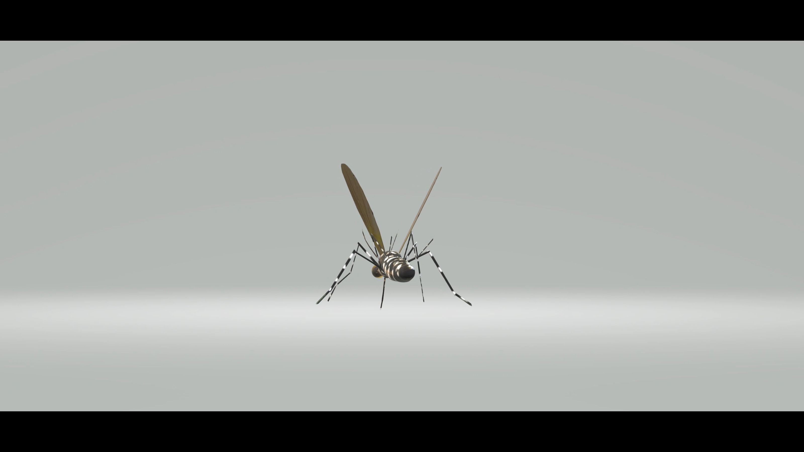 Mosquito Aedes Species 3D model_60