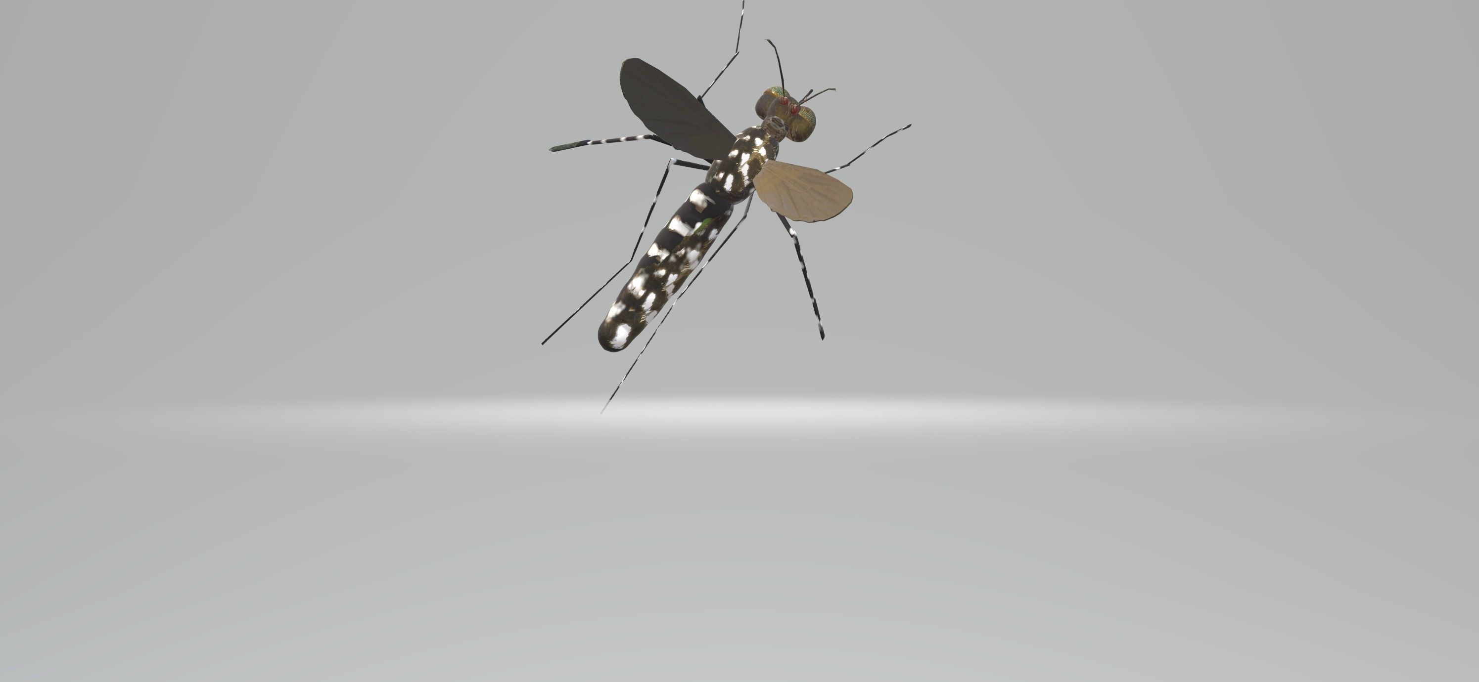Mosquito Aedes Species 3D model_3