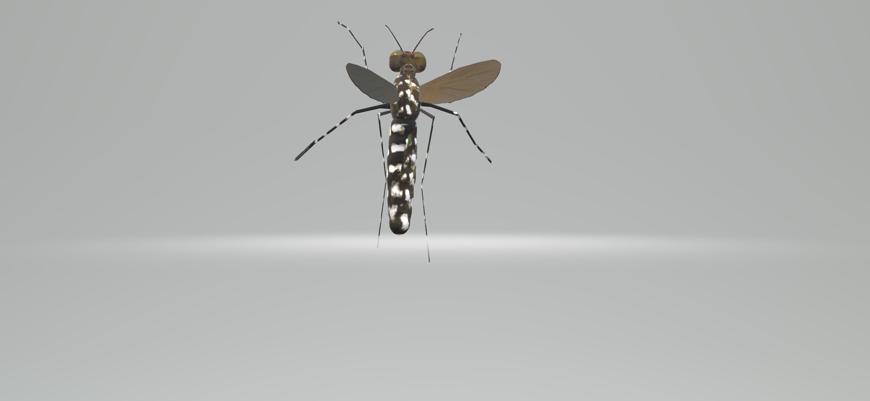 Mosquito Aedes Species 3D model_49