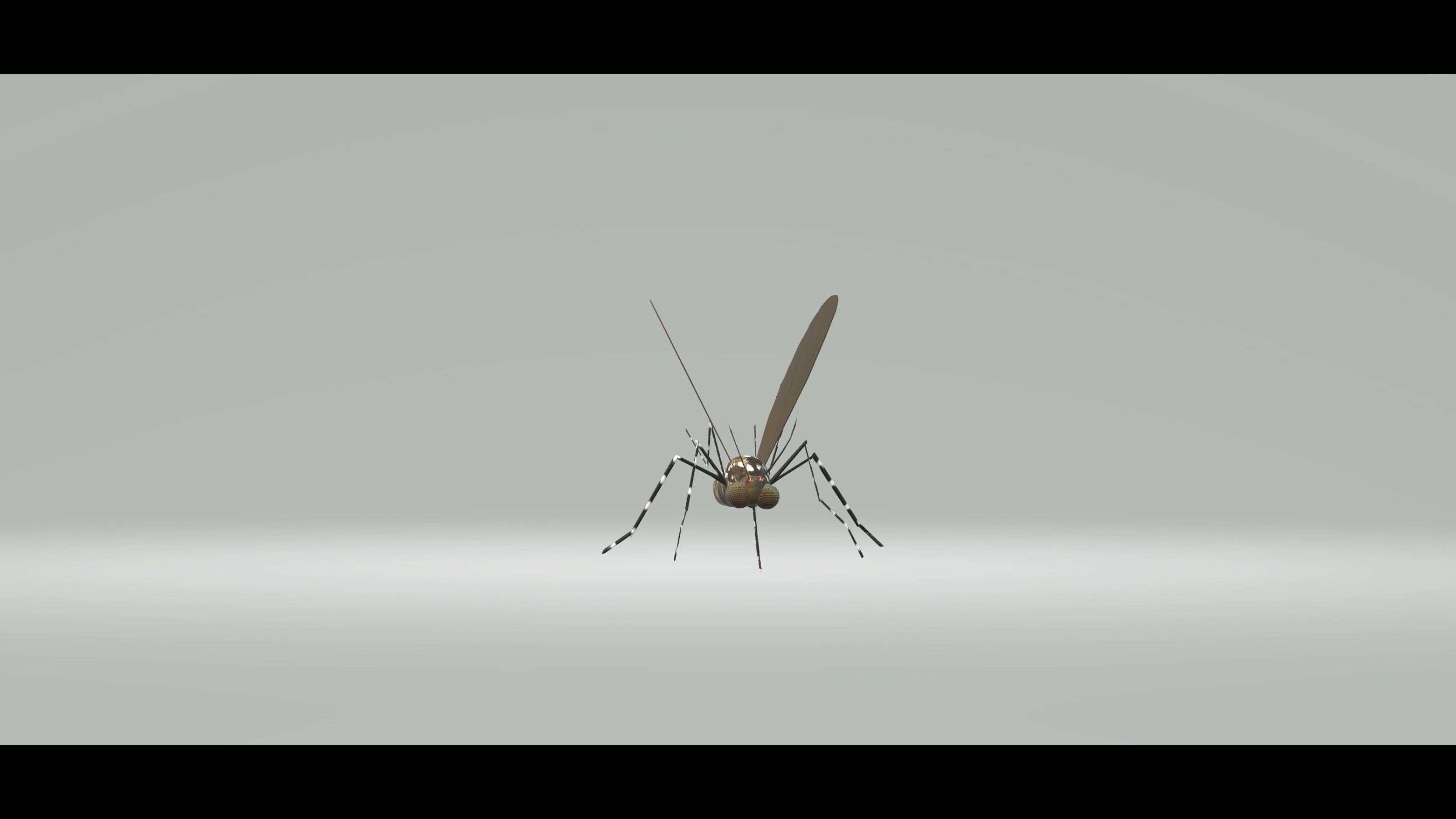 Mosquito Aedes Species 3D model_23