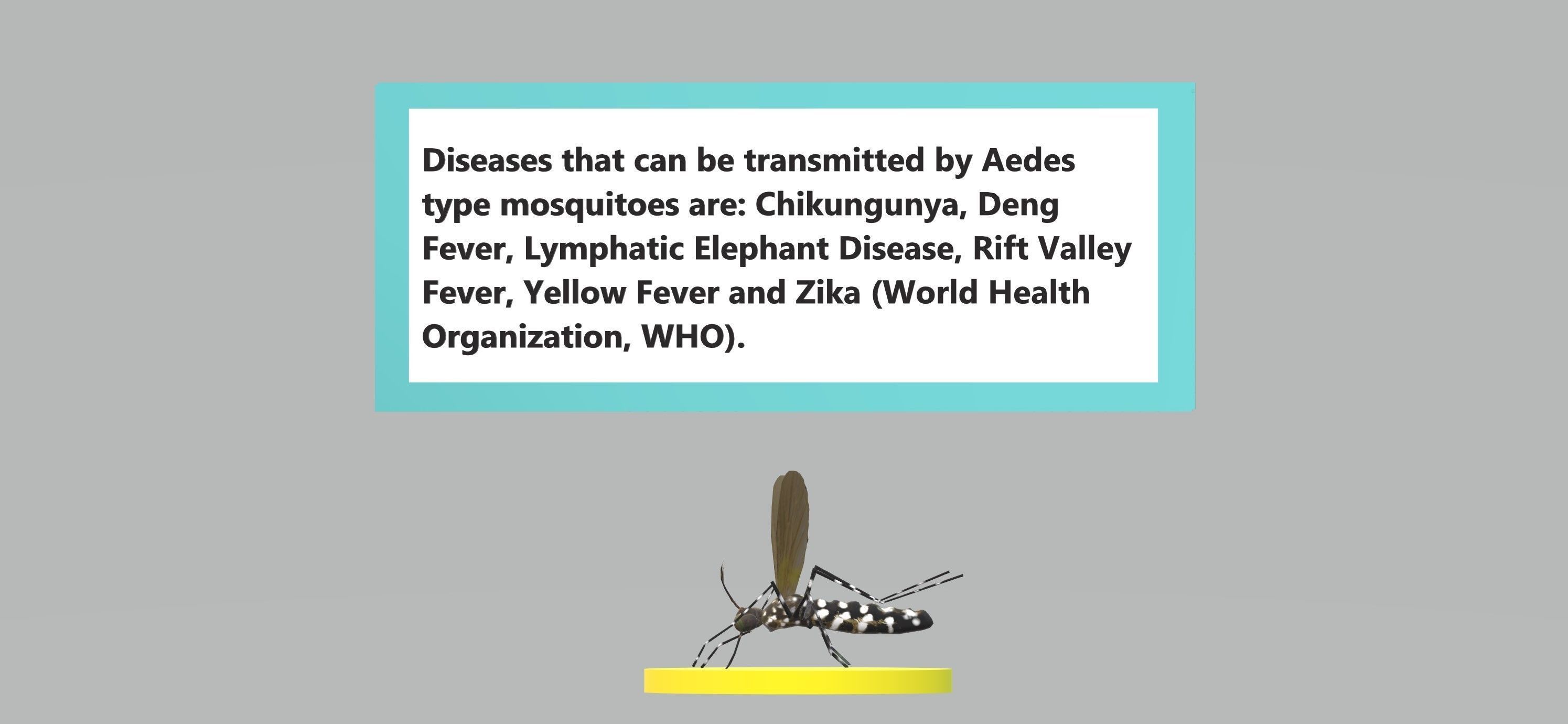 Mosquito Aedes Species 3D model_82