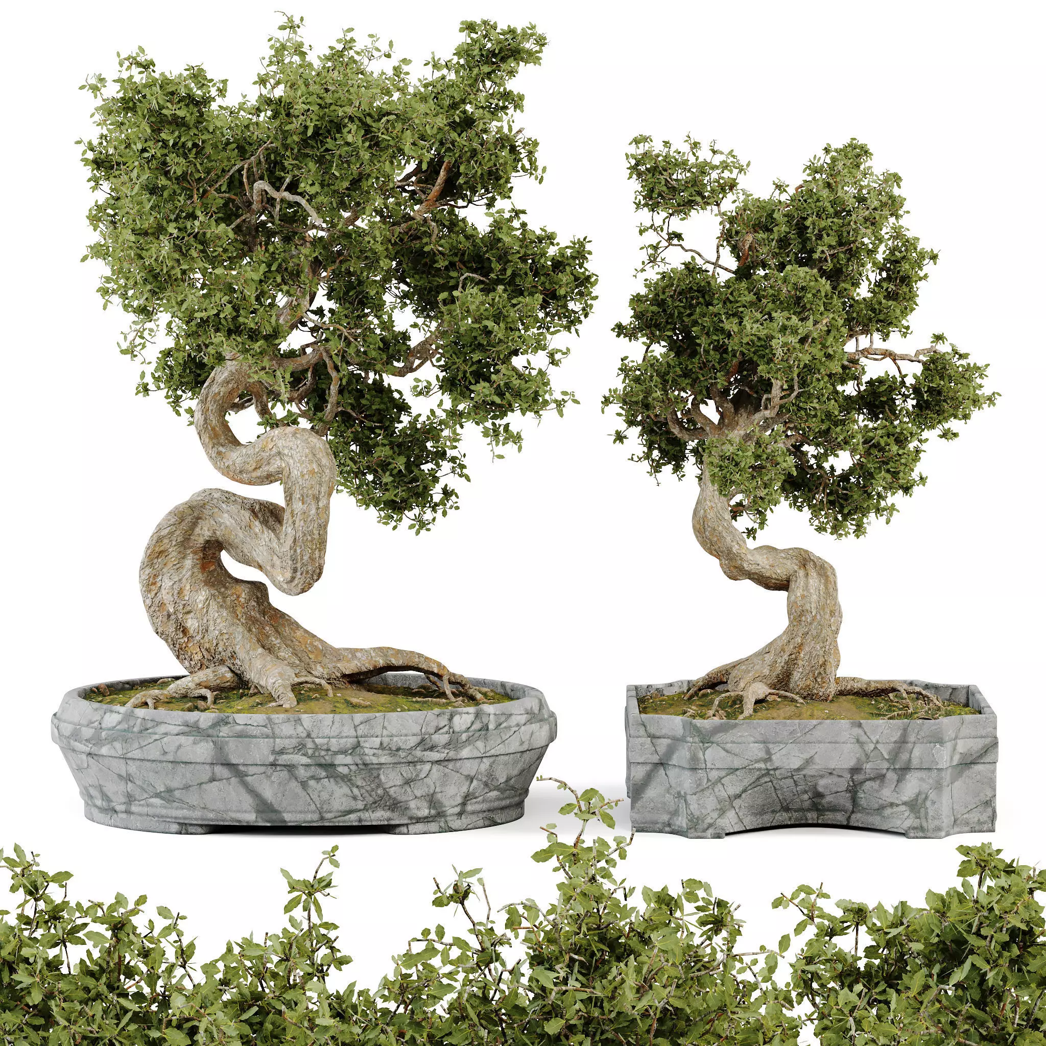 Bonsai Set 01 3D model_0