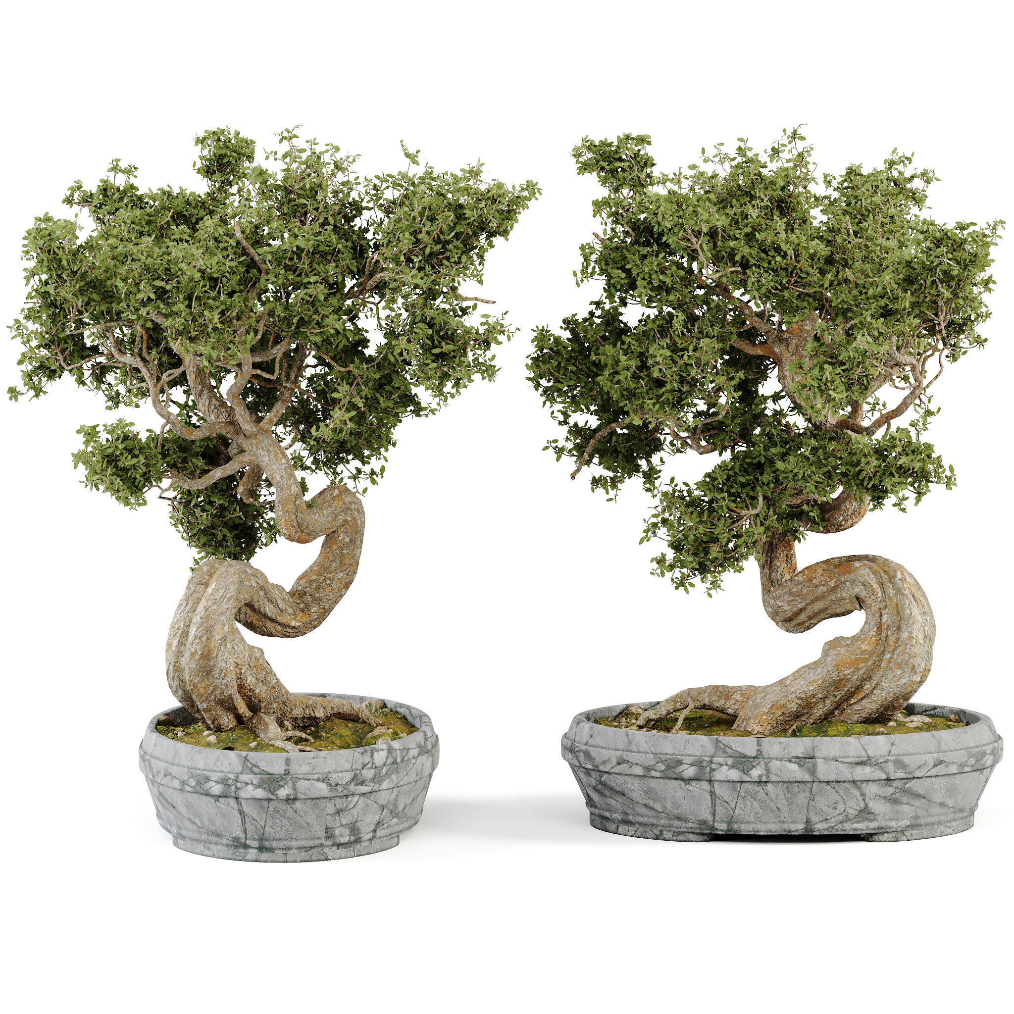 Bonsai Set 01 3D model_1