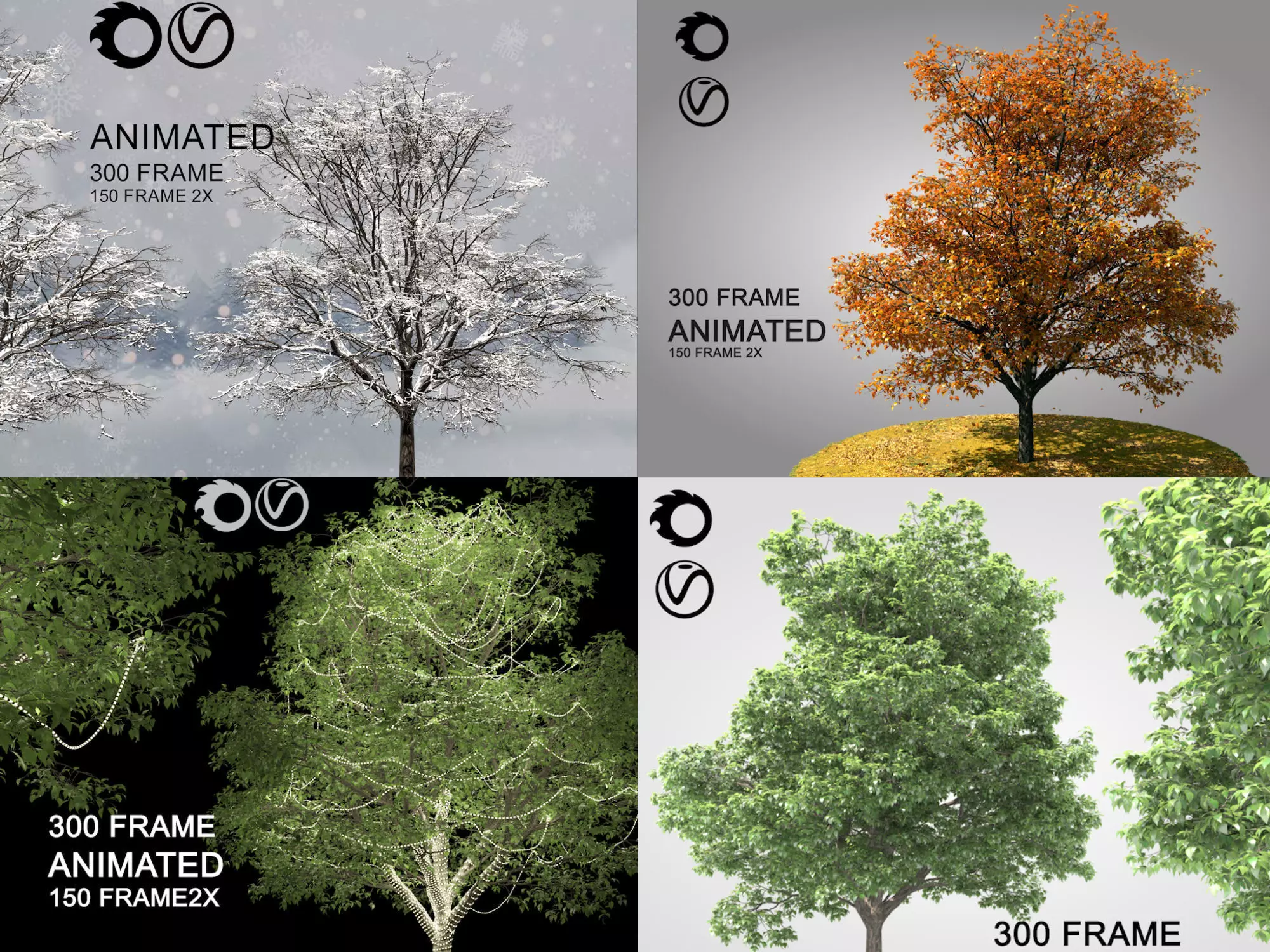 ENGLISH WALNUT 02 3D Model Collection _0