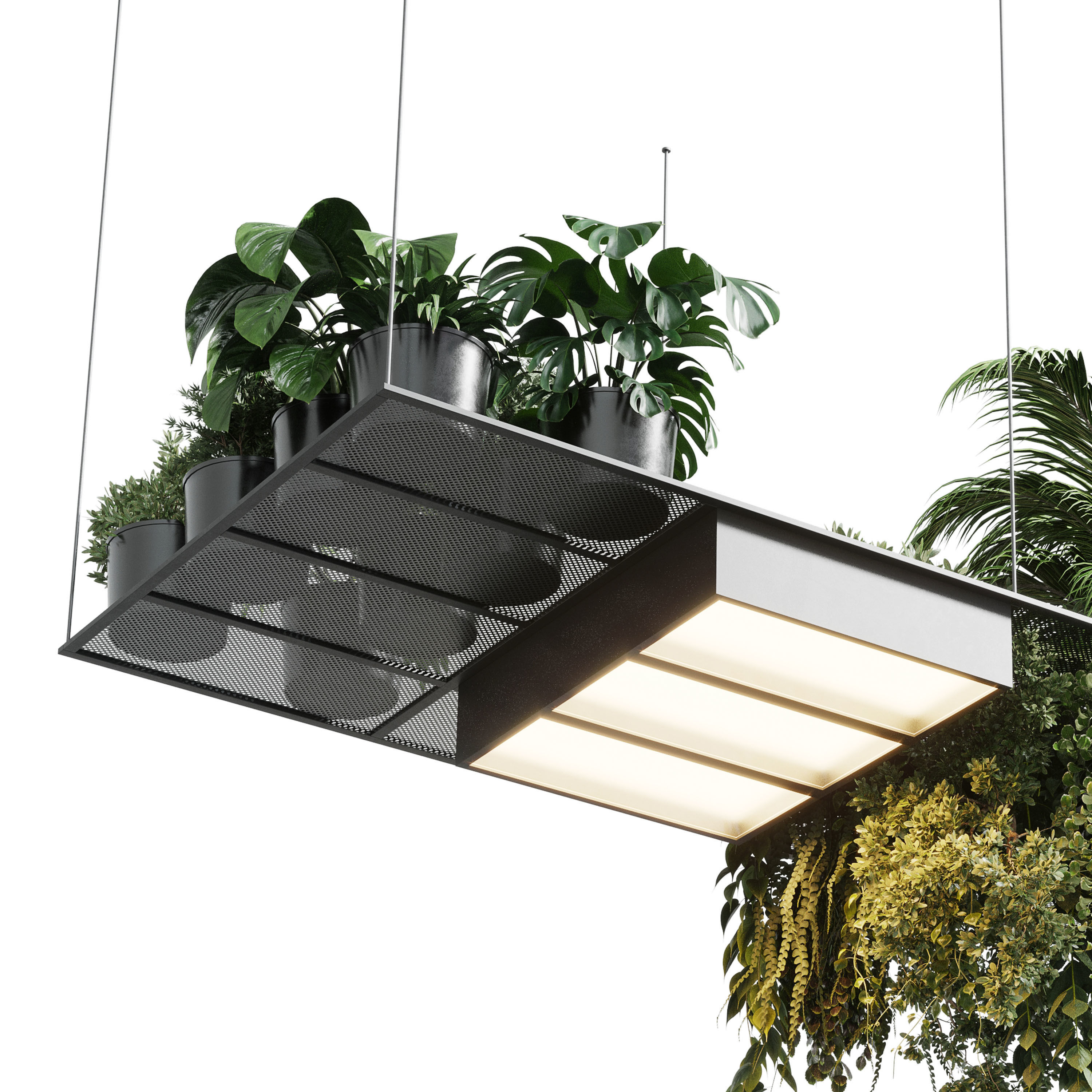 pot light pendant plant light hanging 10 Low-poly 3D model_3
