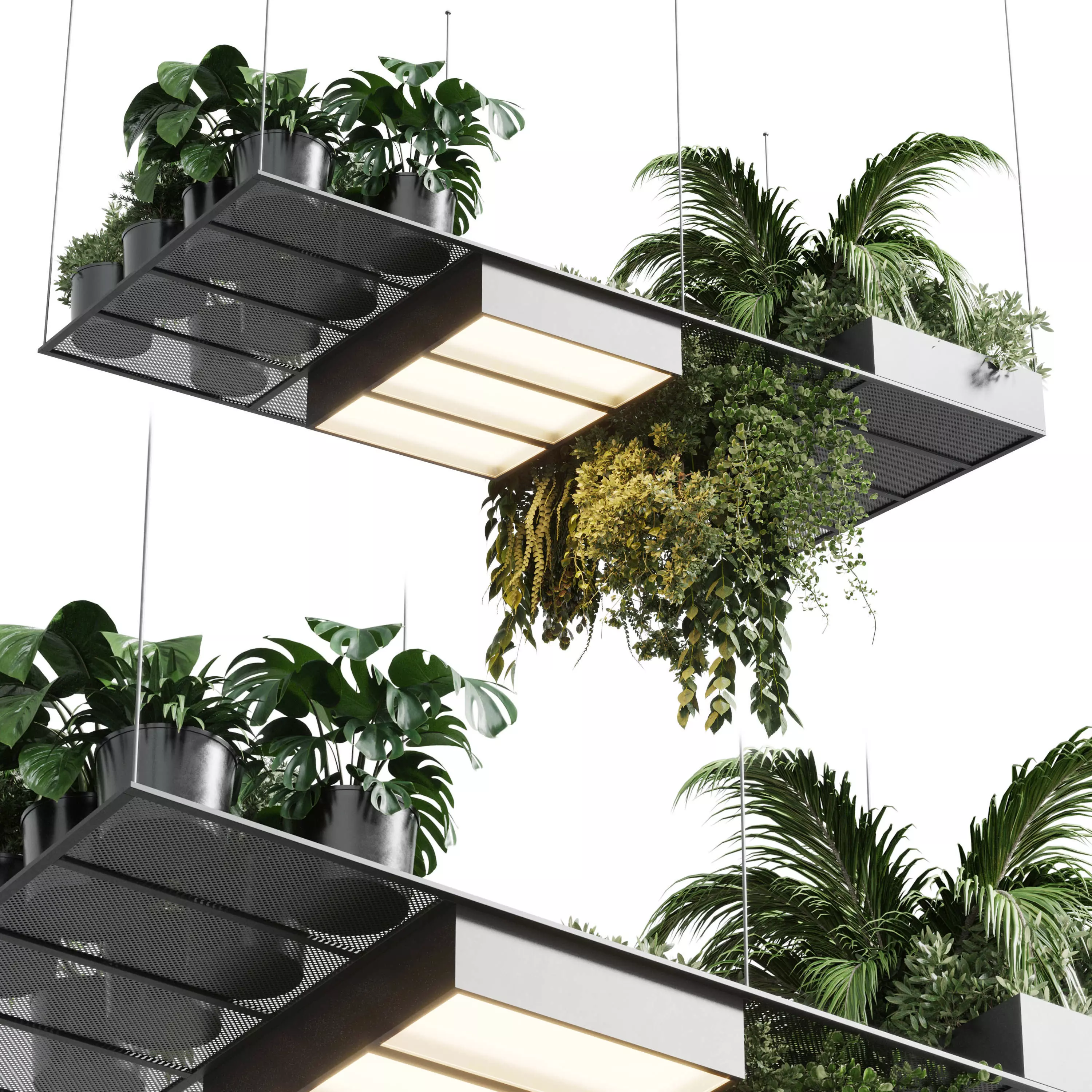 pot light pendant plant light hanging 10 Low-poly 3D model_0