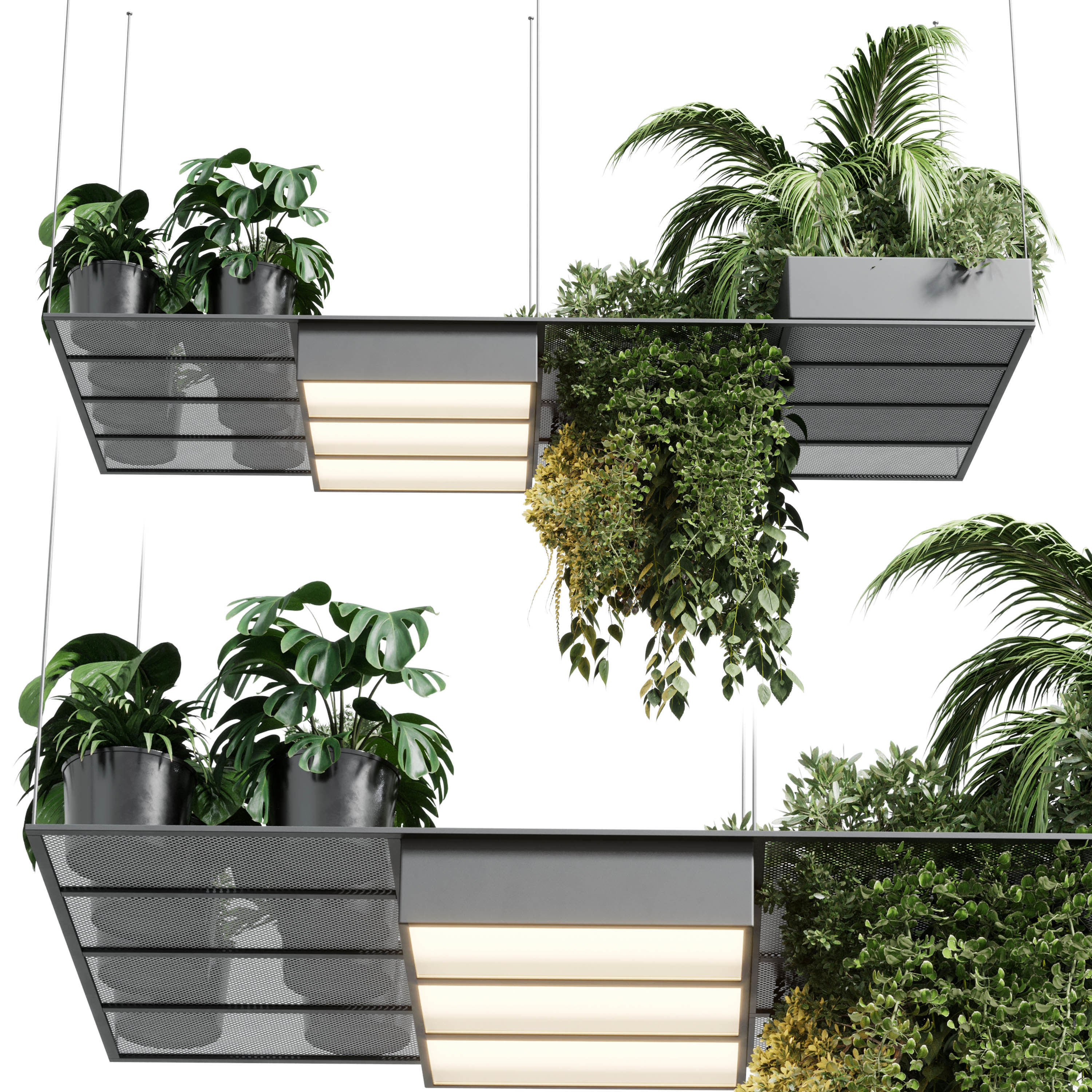 pot light pendant plant light hanging 10 Low-poly 3D model_2