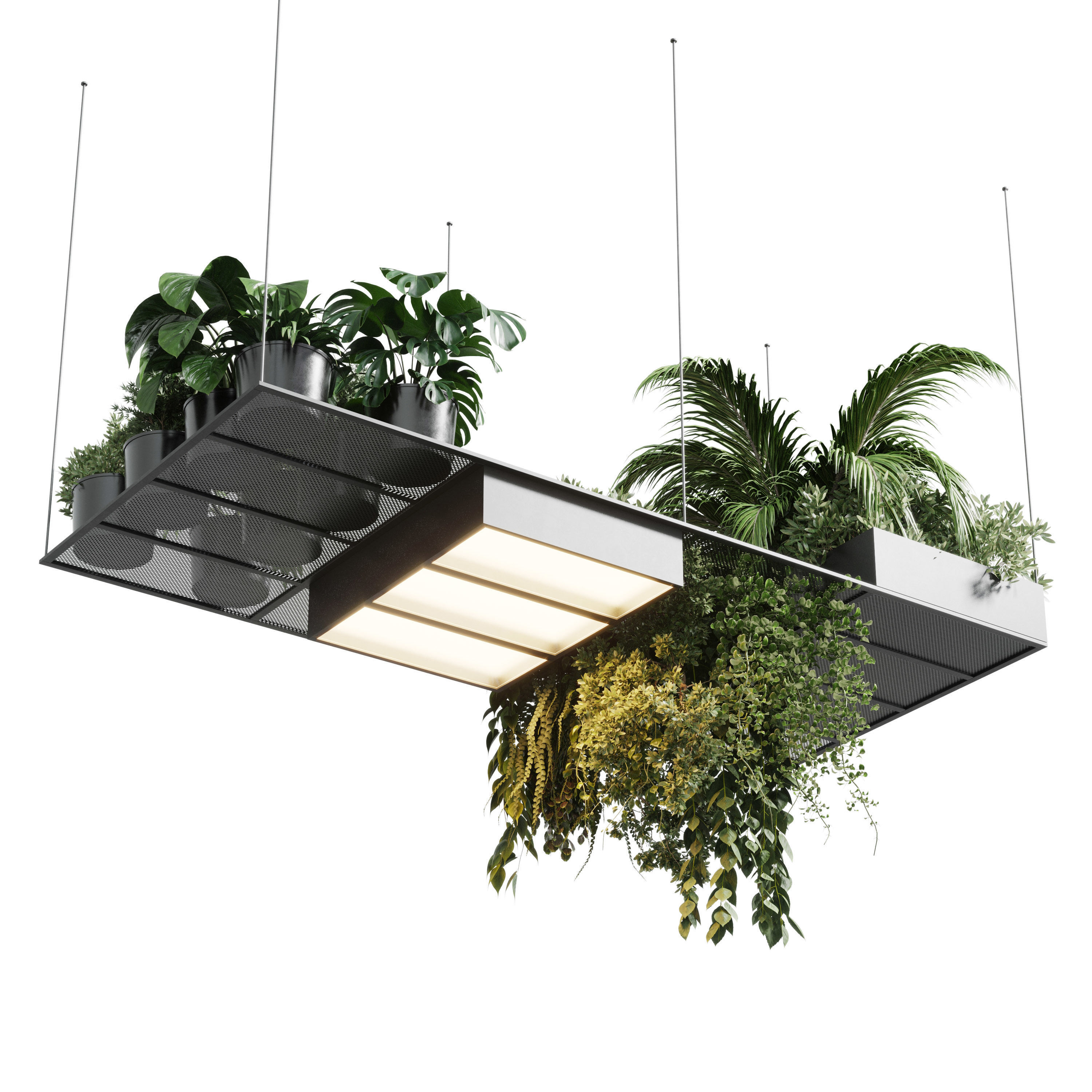 pot light pendant plant light hanging 10 Low-poly 3D model_1