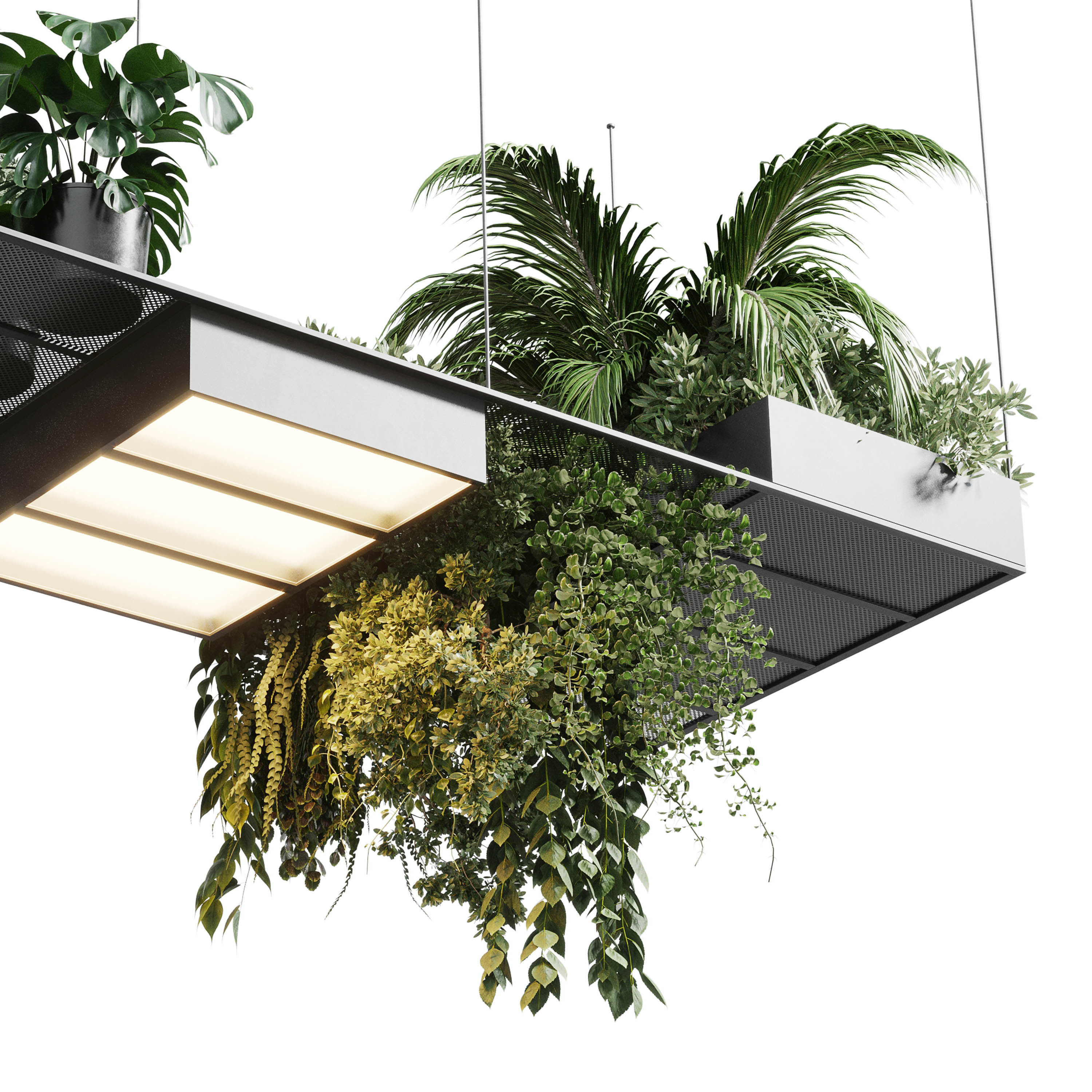 pot light pendant plant light hanging 10 Low-poly 3D model_4