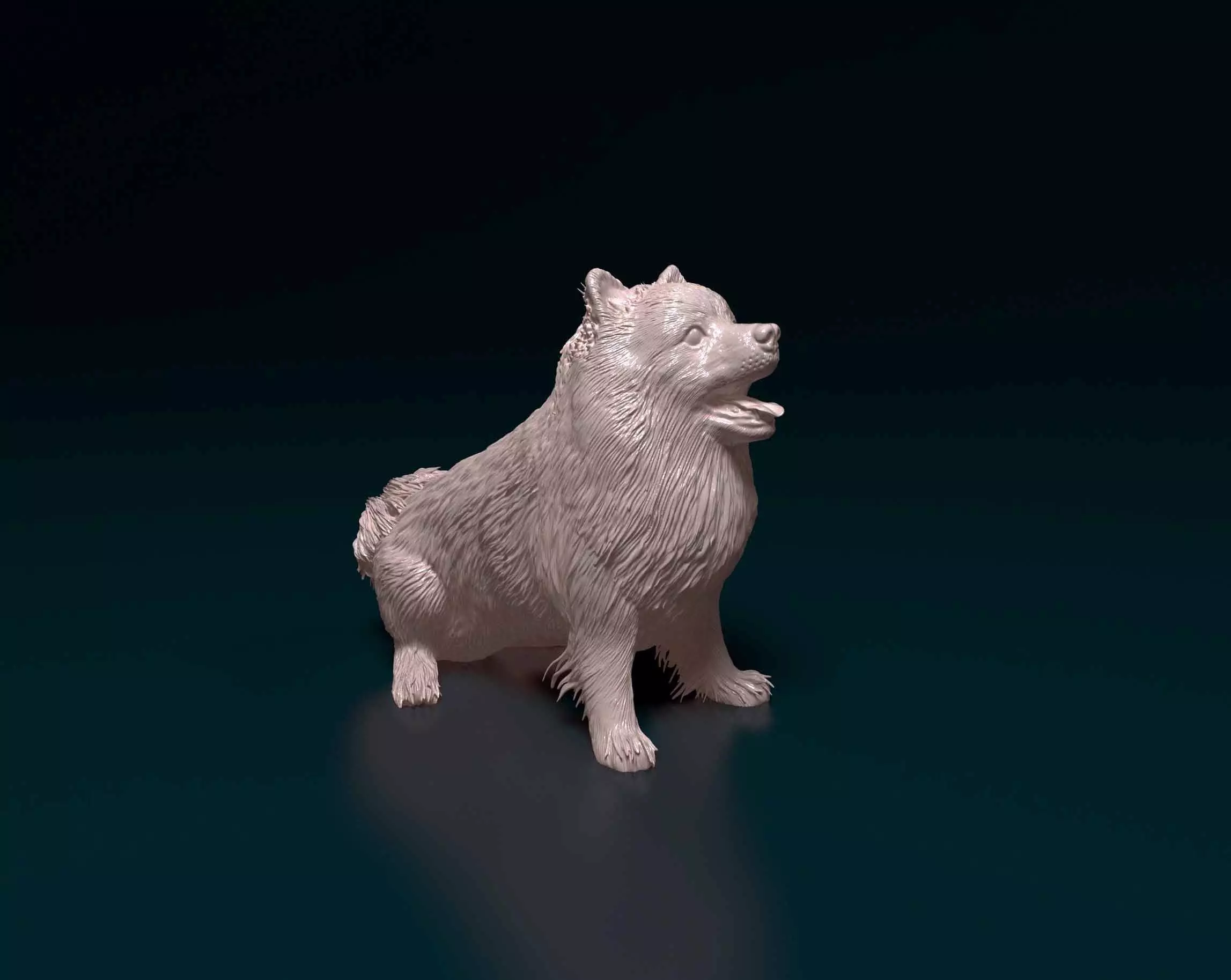 Pomeranian samoyed 3D print model_0