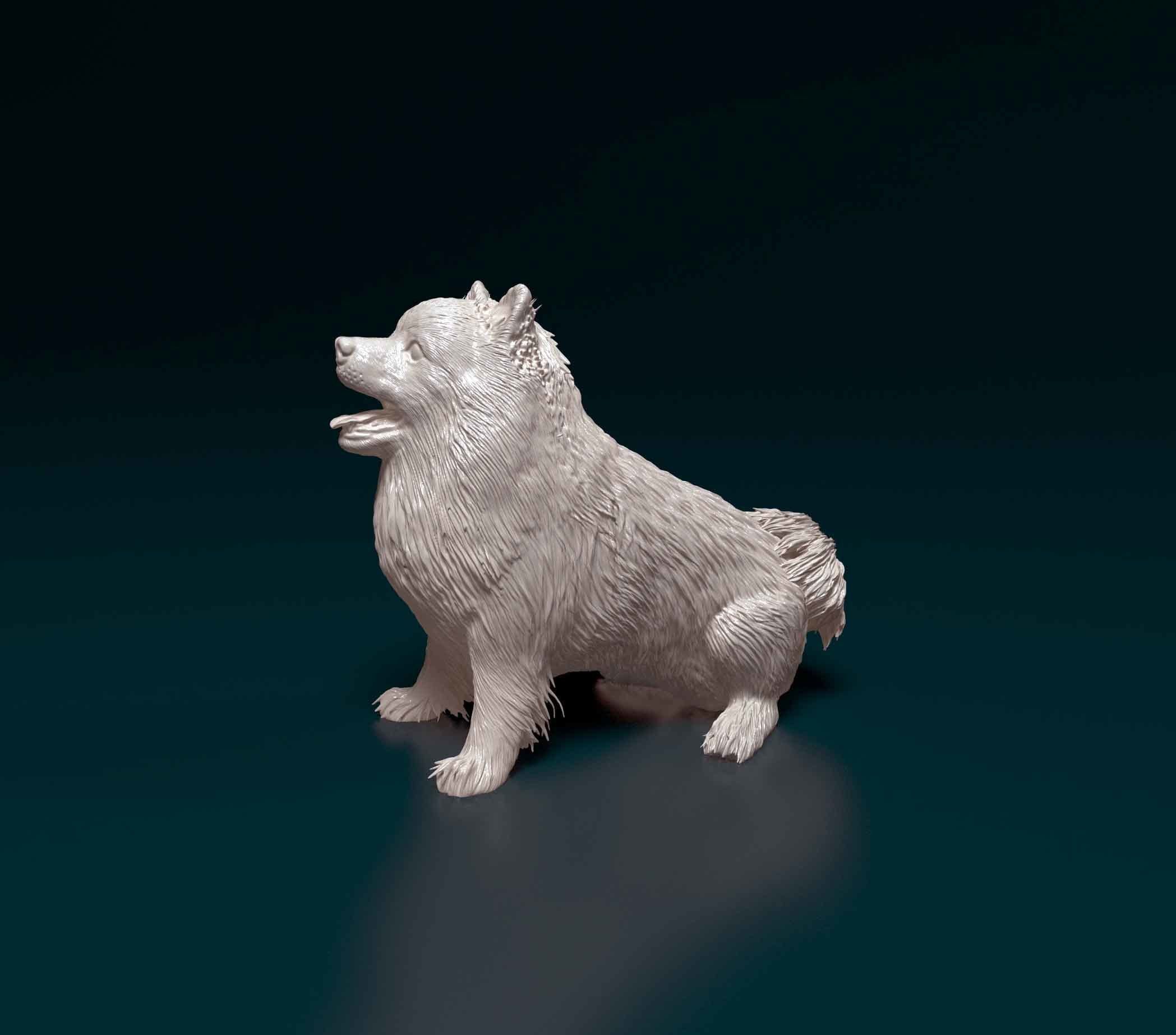 Pomeranian samoyed 3D print model_5
