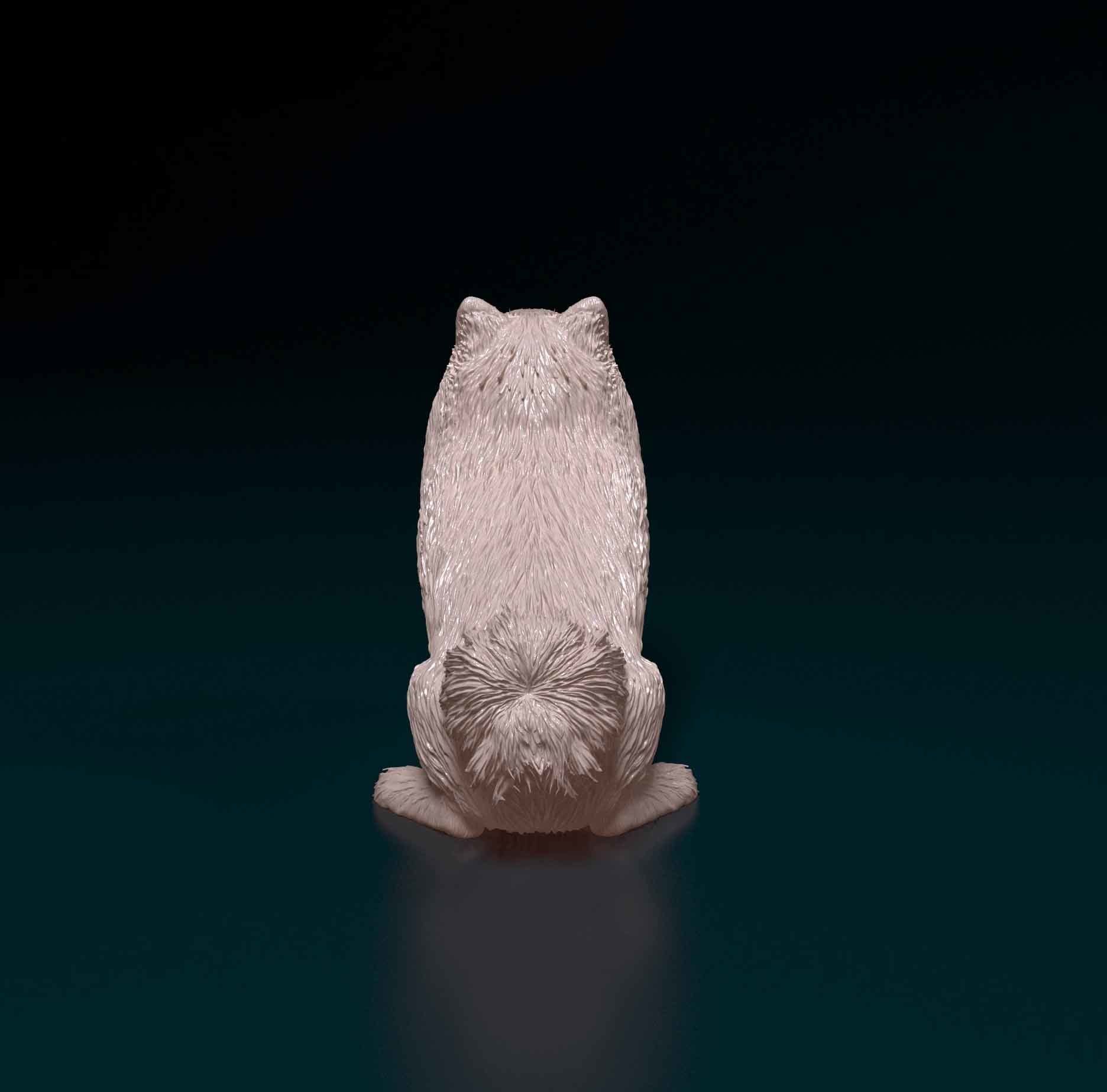 Pomeranian samoyed 3D print model_3