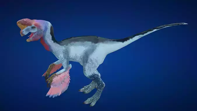 Oviraptor dinosaur Low-poly 3D model