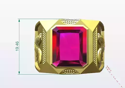 Rings chicken 3D print model