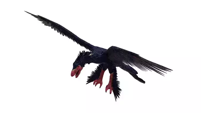 Microraptor bird in flight Low-poly 3D model
