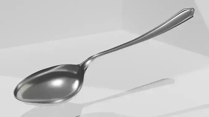 Spoon Metal Spoon