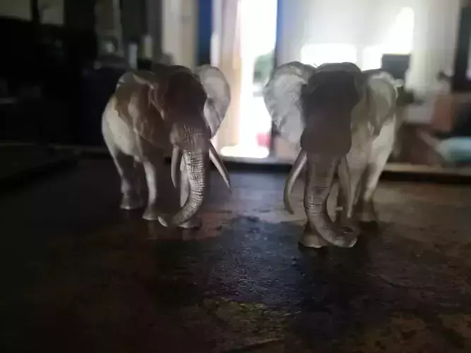 elephant with bloody tusks 3D print model