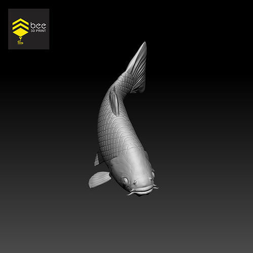 Koi Fish - STL file - Ready for 3d print 3D print model
