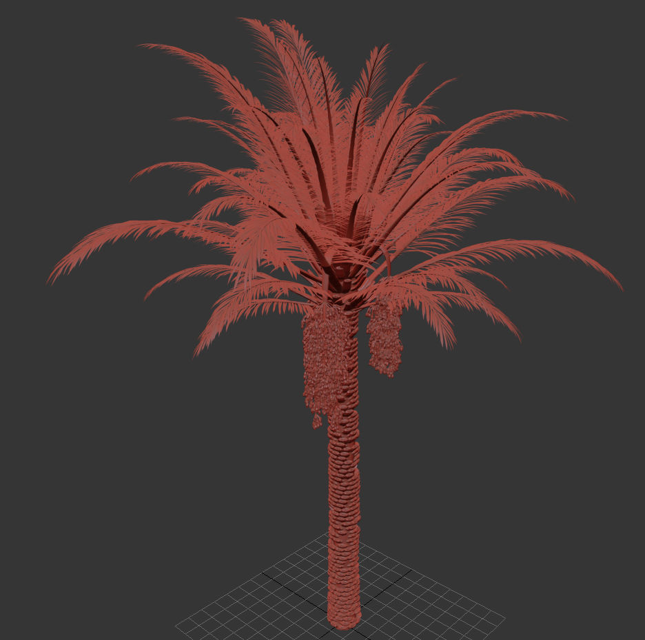Palm Tree 001 3D model_3
