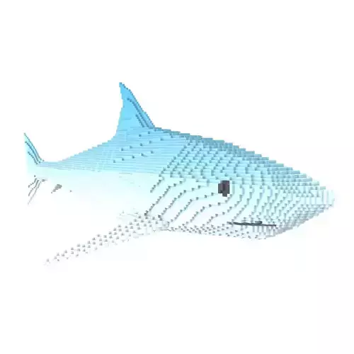 Voxel Shark v1 001 Low-poly 3D model