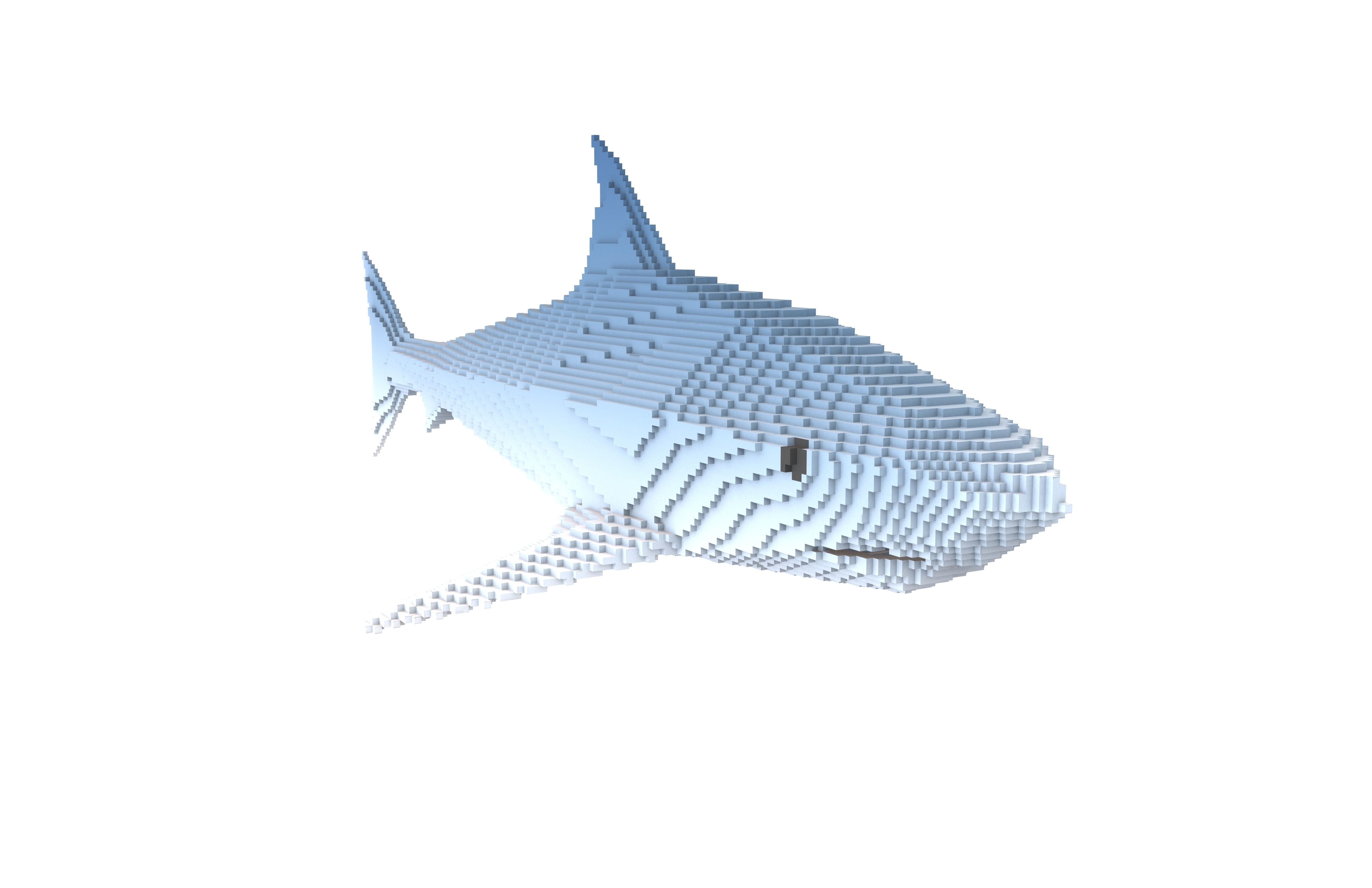 Voxel Shark v1 002 Low-poly 3D model_1