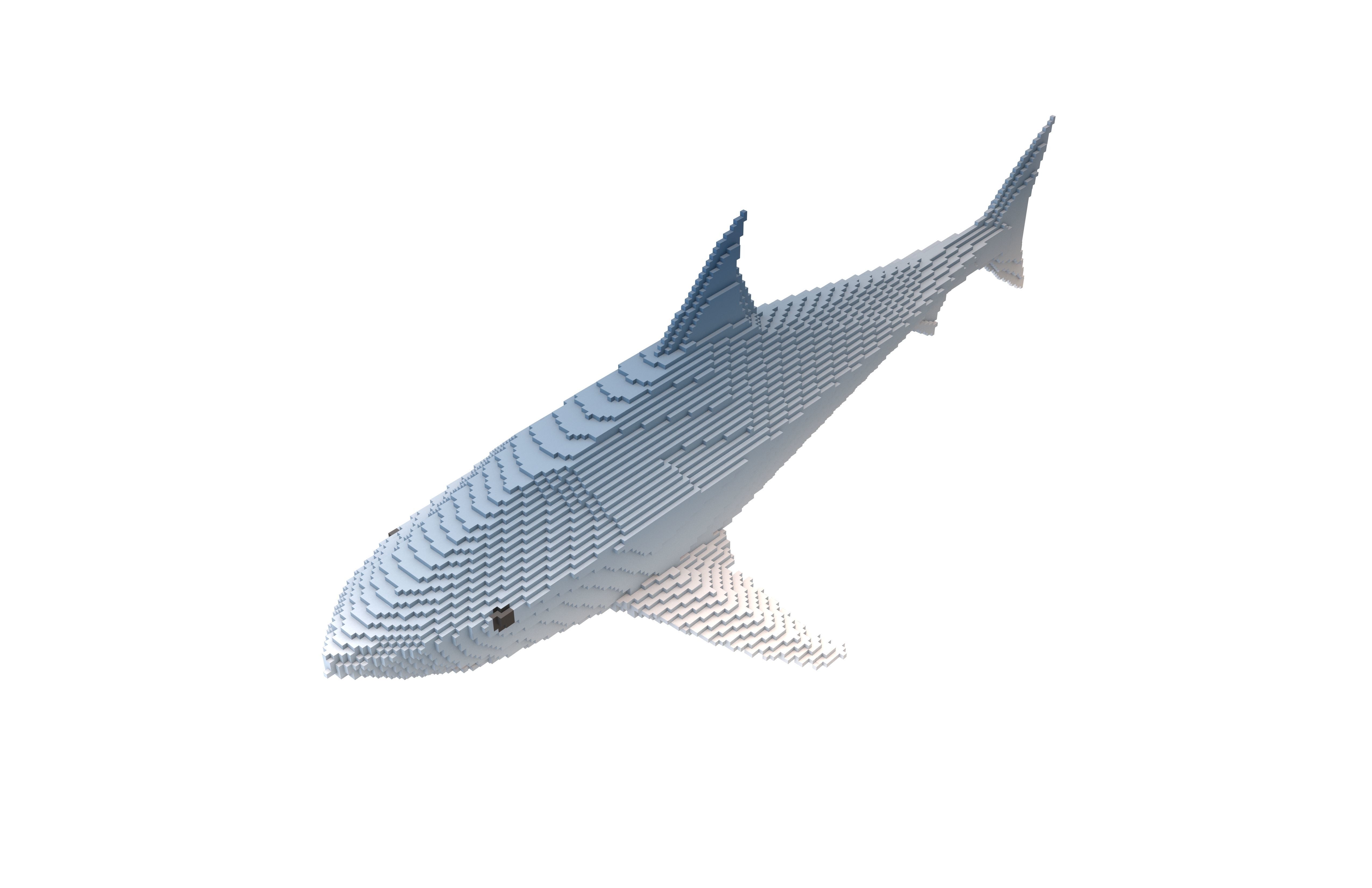Voxel Shark v1 002 Low-poly 3D model_2