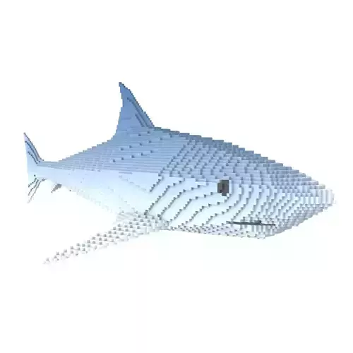 Voxel Shark v1 002