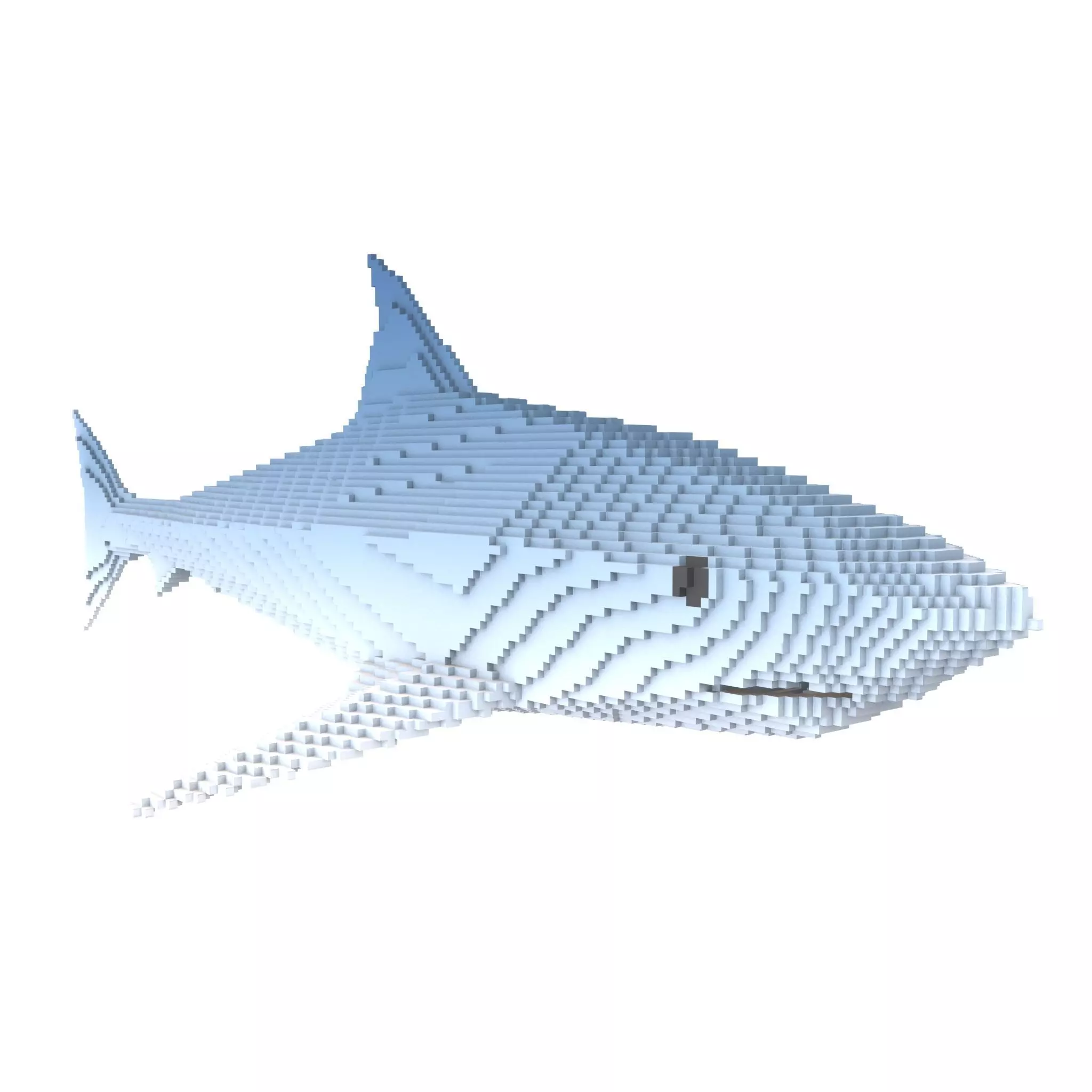 Voxel Shark v1 002 Low-poly 3D model_0