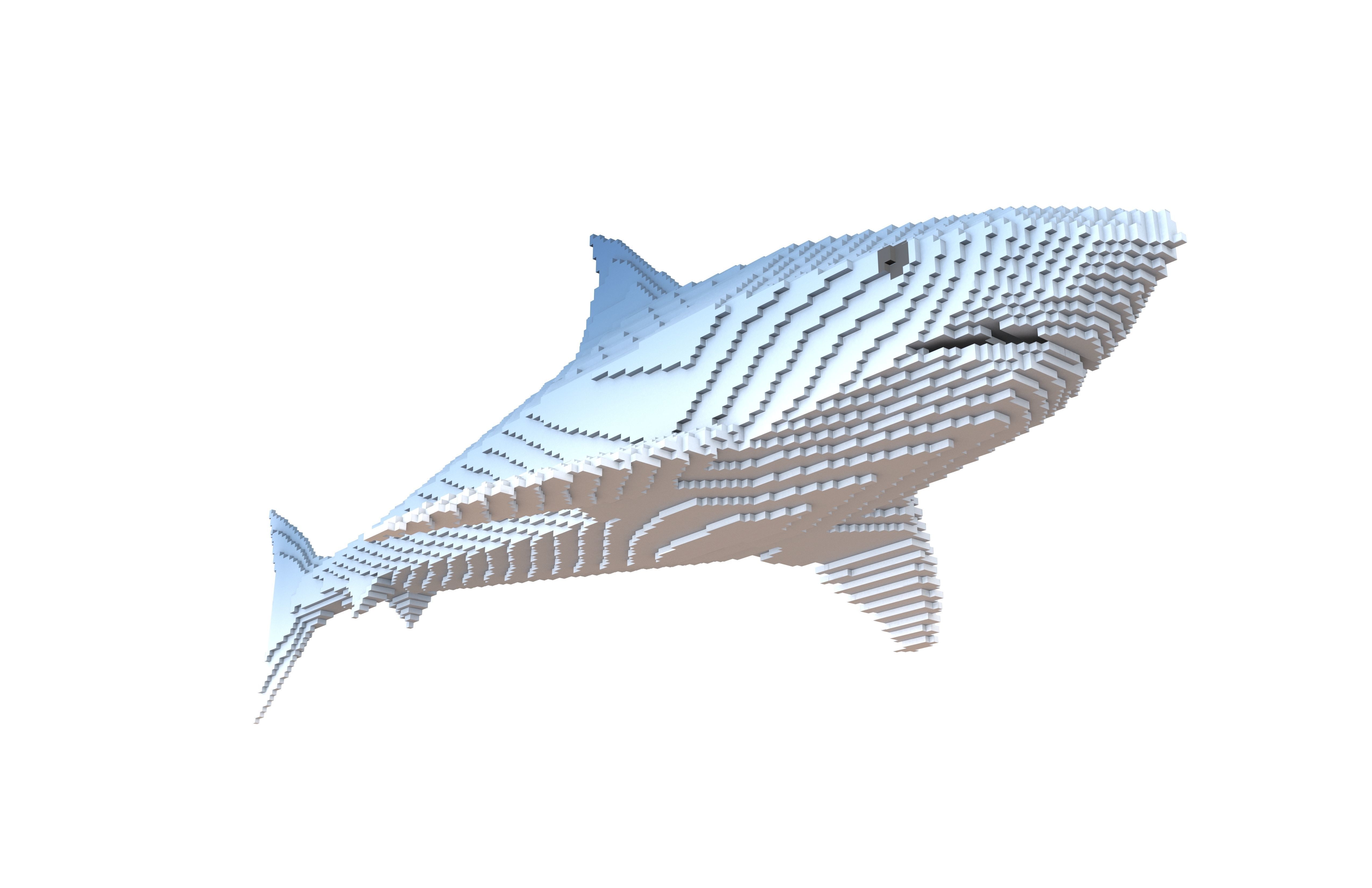 Voxel Shark v1 002 Low-poly 3D model_3