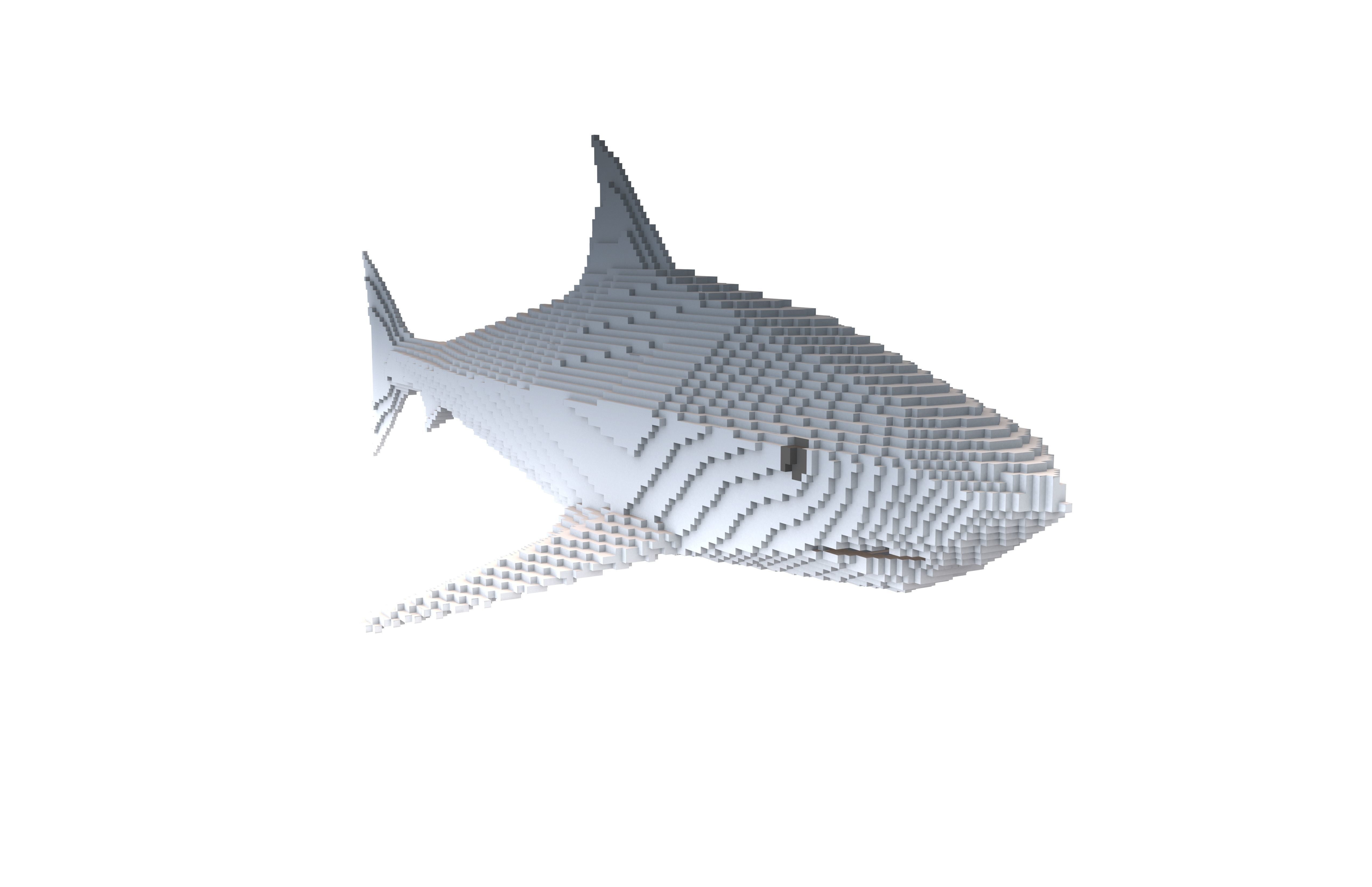 Voxel Shark v1 003 Low-poly 3D model_1