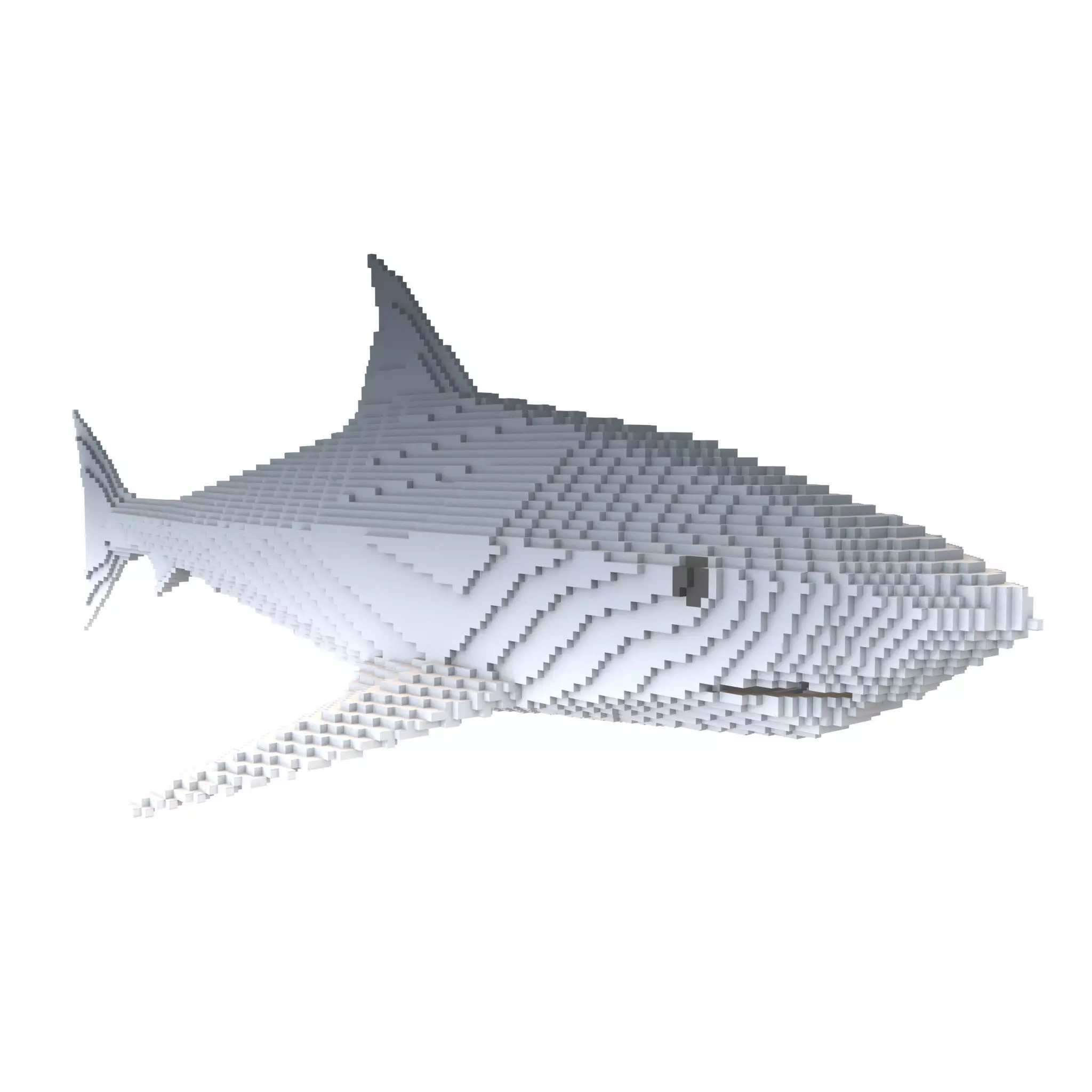Voxel Shark v1 003 Low-poly 3D model_0