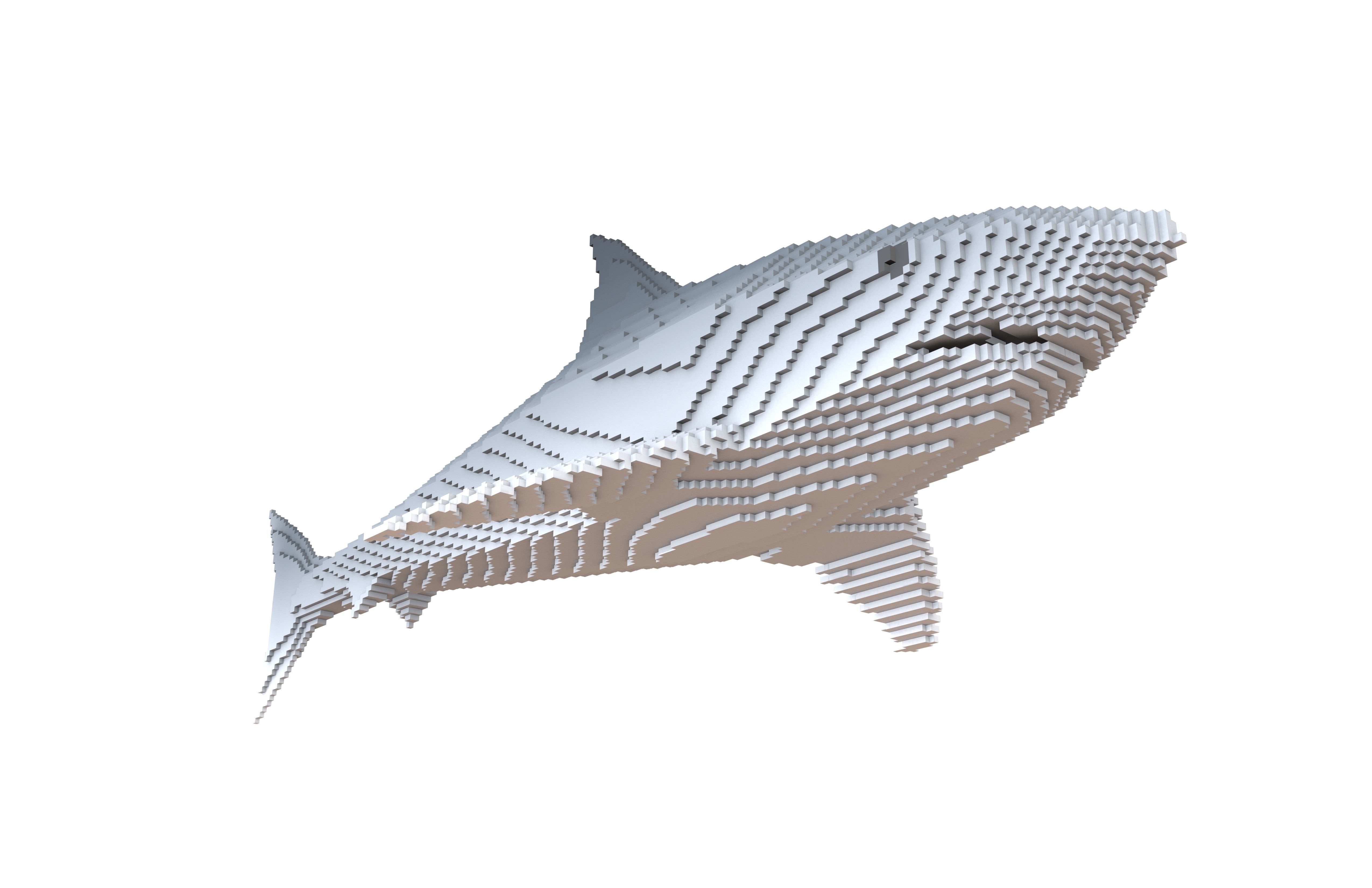 Voxel Shark v1 003 Low-poly 3D model_3
