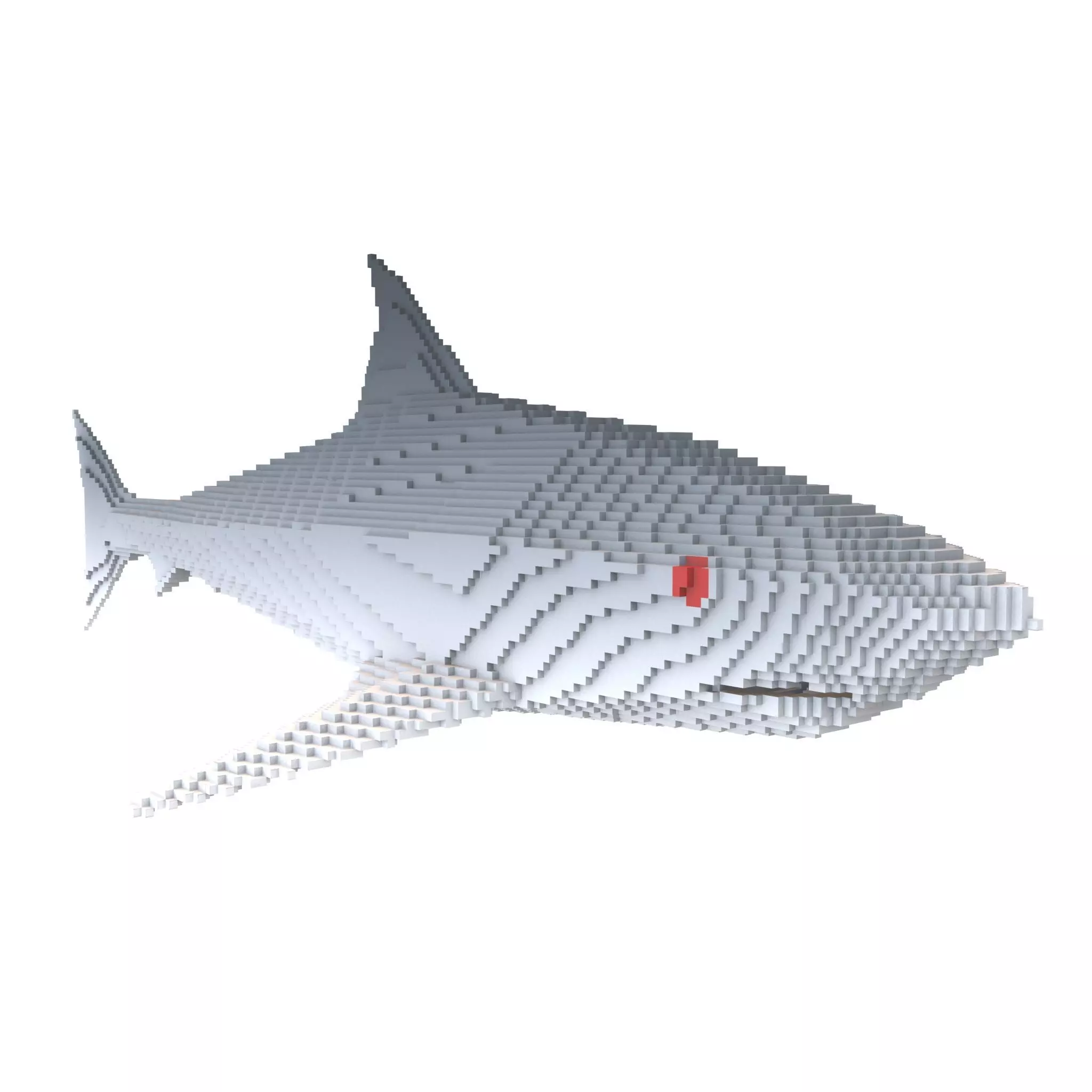 Voxel Shark v1 004 Low-poly 3D model_0
