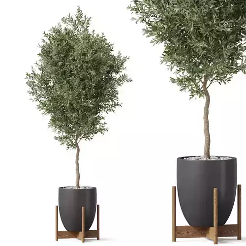 Plants collection 822 3D model