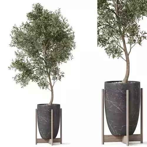 Plants collection 823 3D model