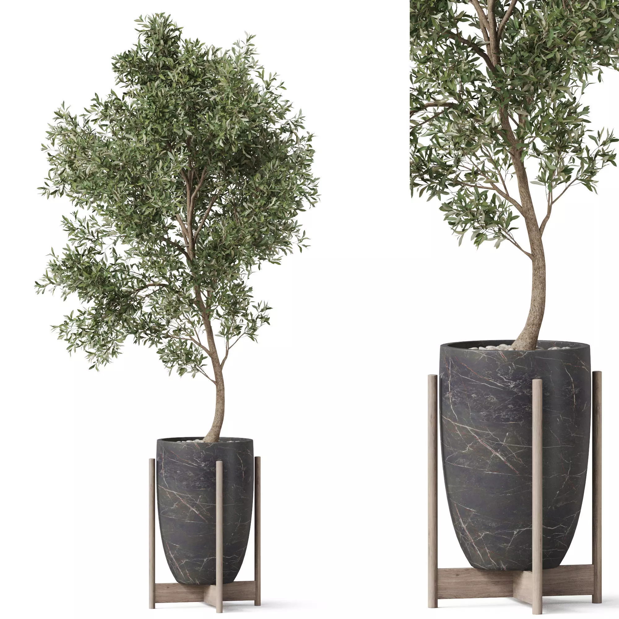 Plants collection 823 3D model