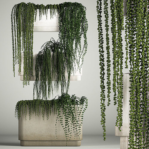 Vertical Gardening Of Wall Plants In Pots 3D model