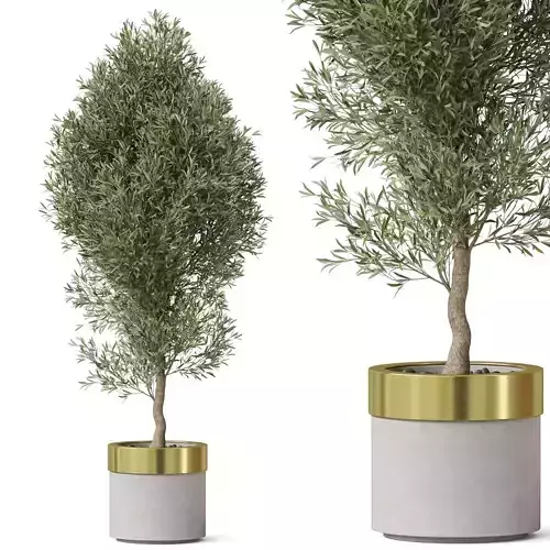 Plants collection 825 3D model
