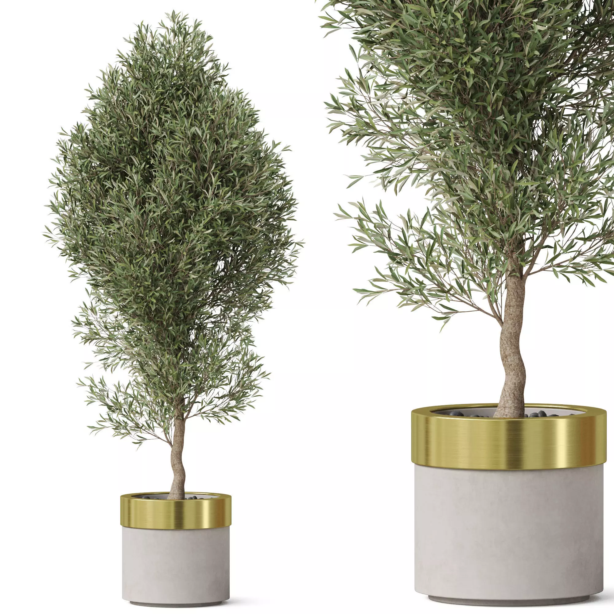 Plants collection 825 3D model