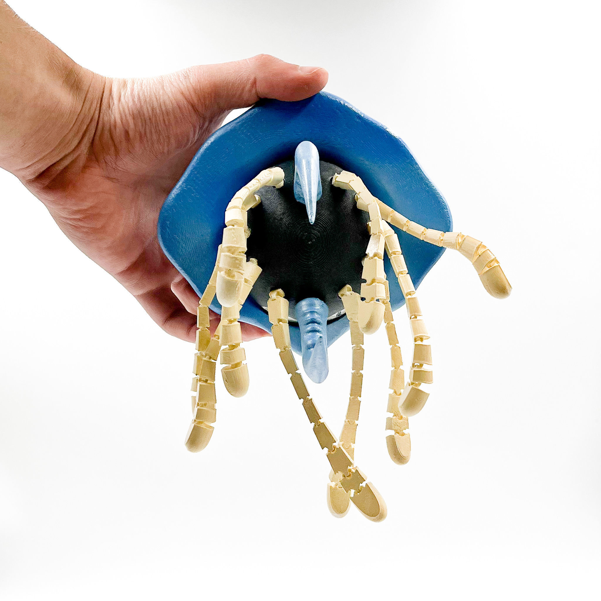 Pokemon Flexi Tentacruel articulated 3D print model_14