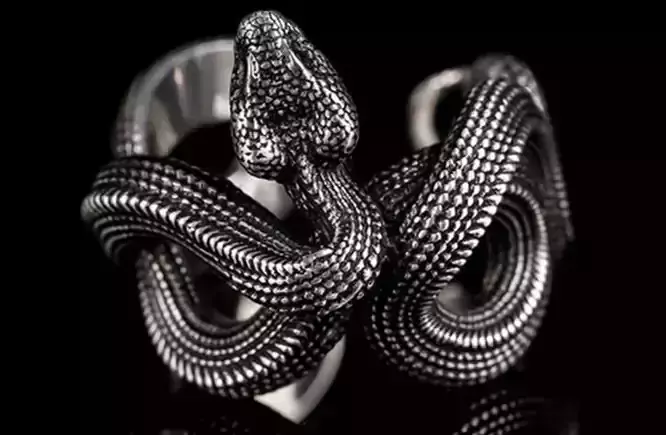 Snake ring Twist