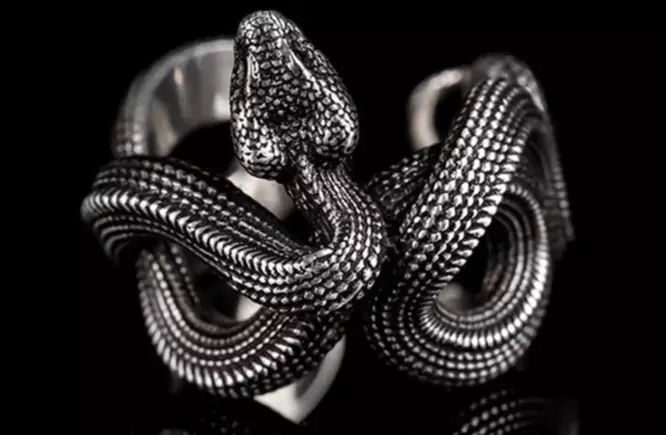 Snake ring Twist 3D print model